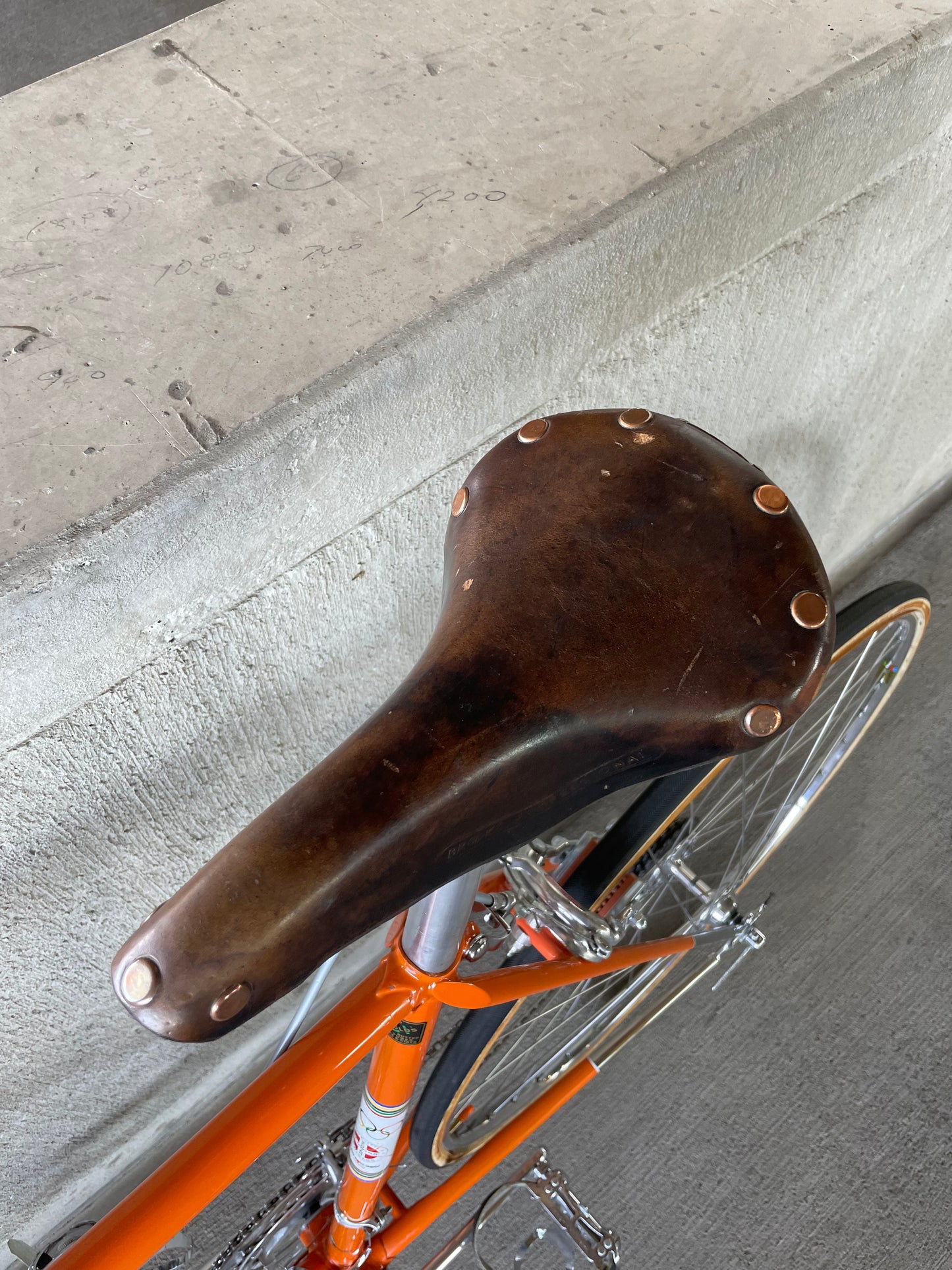 Schwinn Paramount