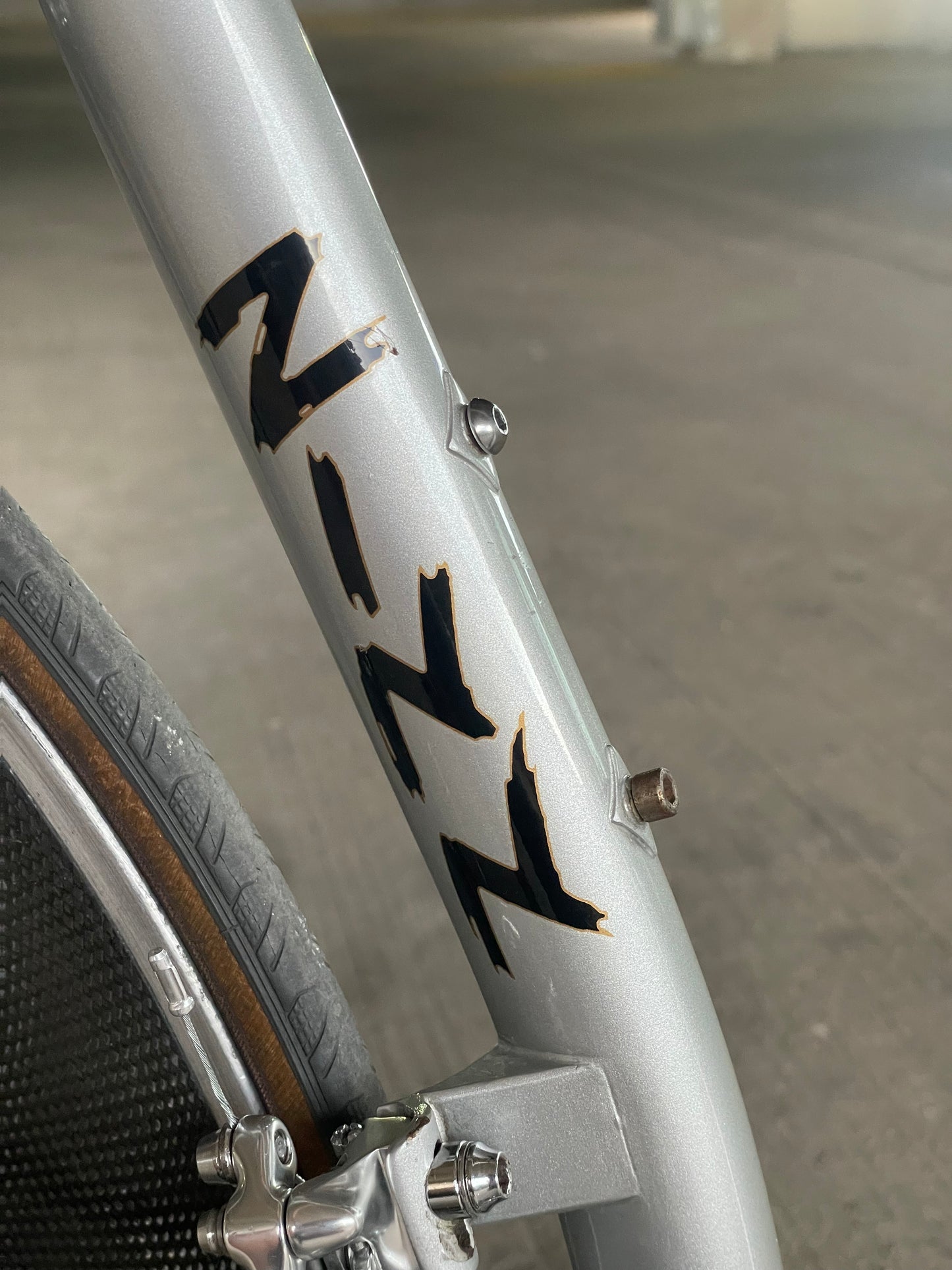 Zinn Triathlon Bike