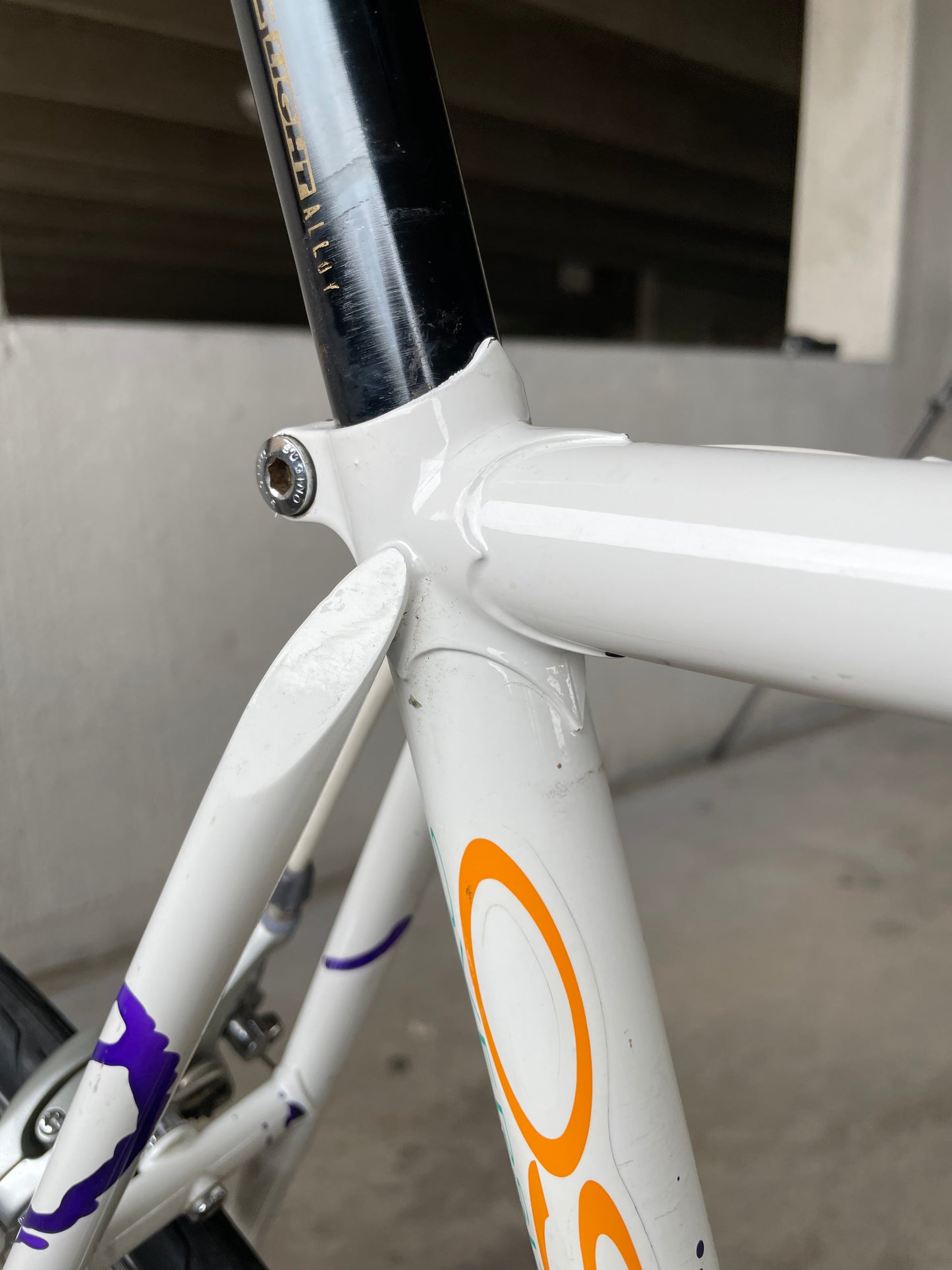 Schwinn Paramount Series 5