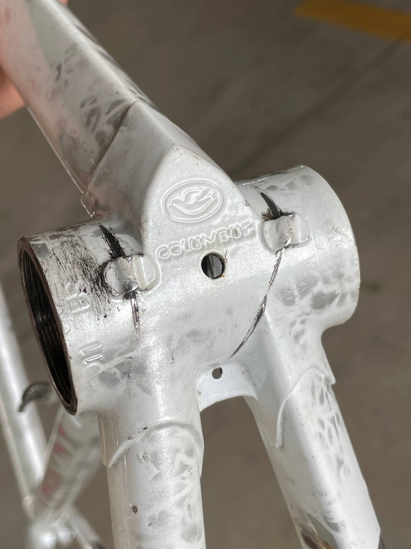 Tommasini Diamante