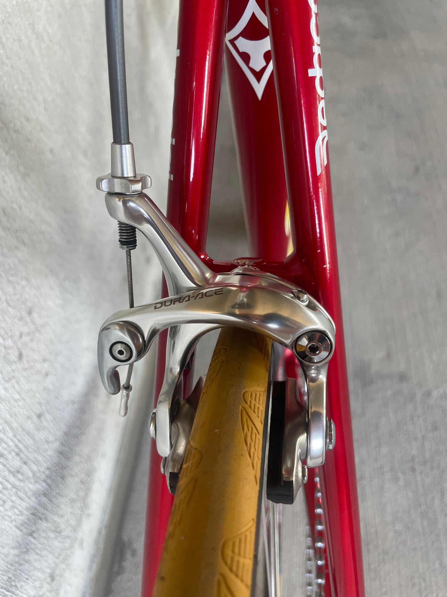 Tommasini Colorado