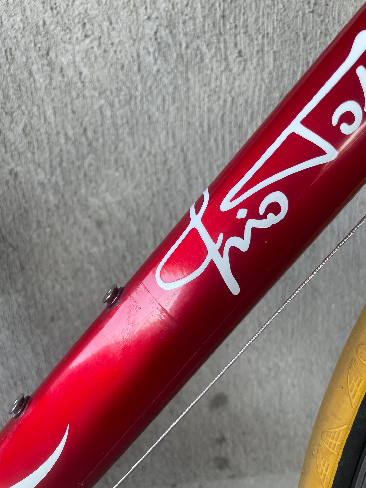 Tommasini Colorado