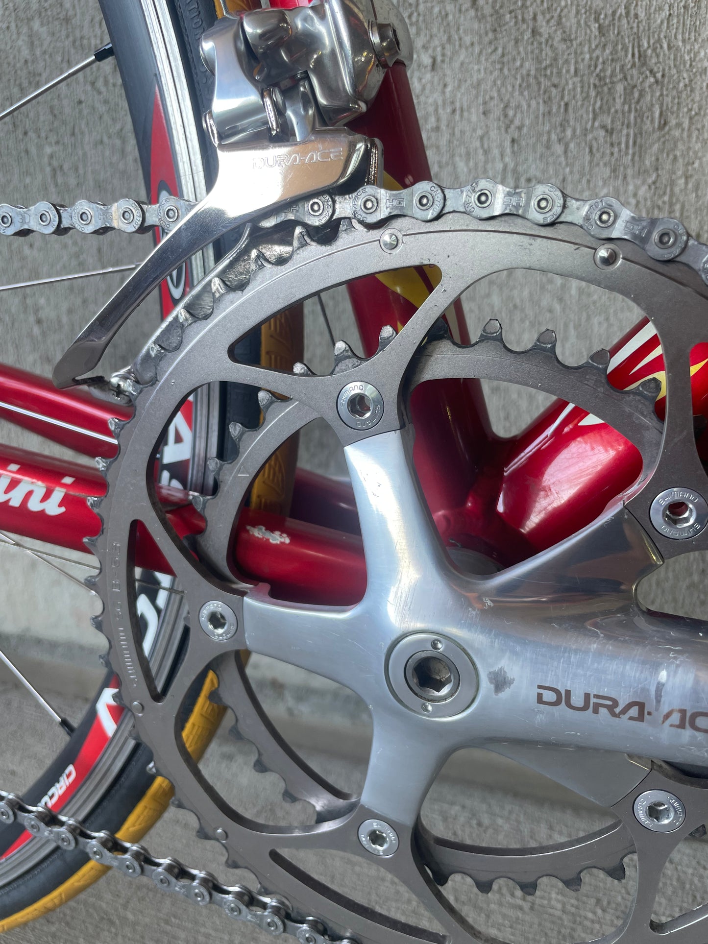Tommasini Colorado