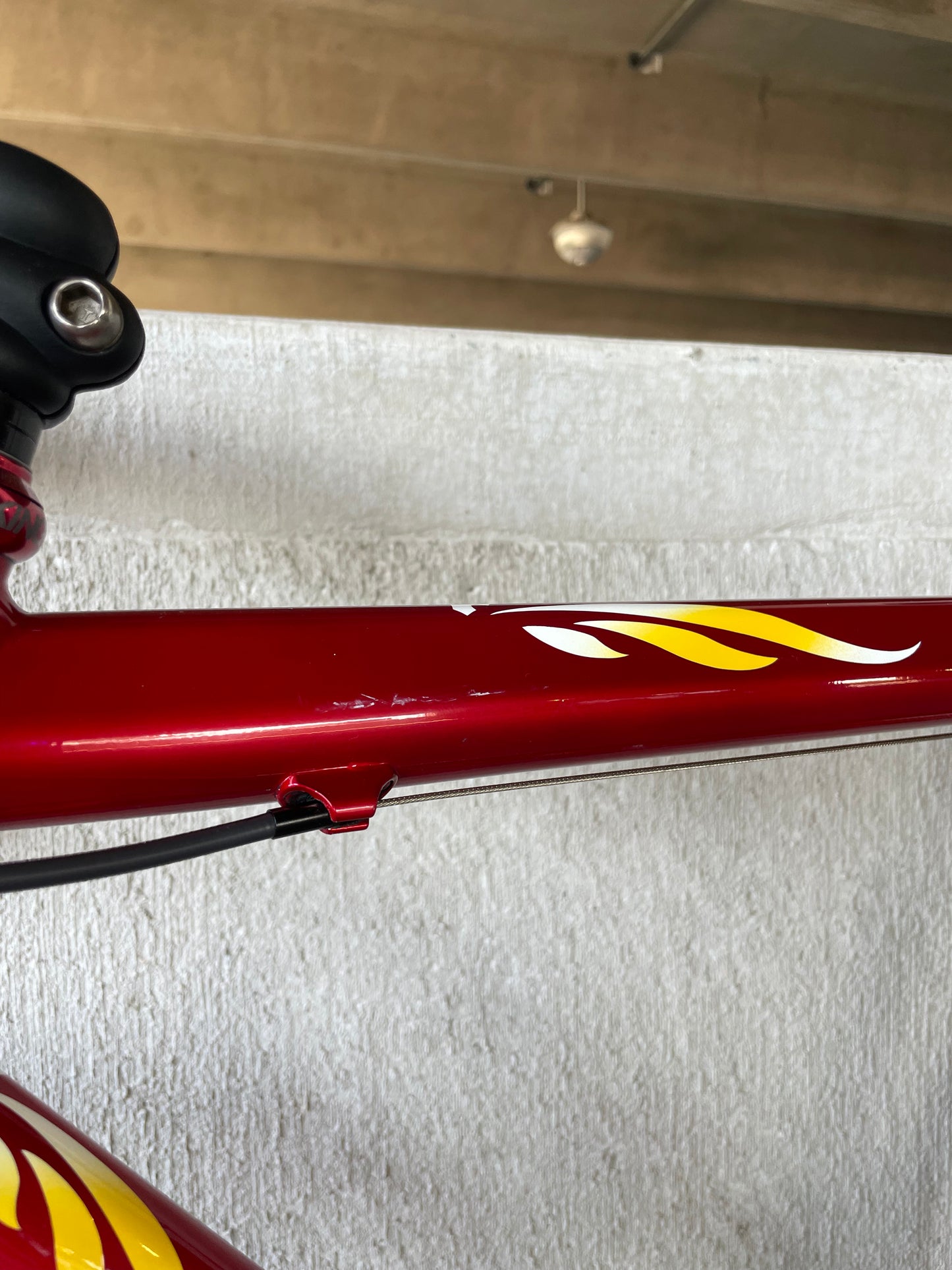 Tommasini Colorado