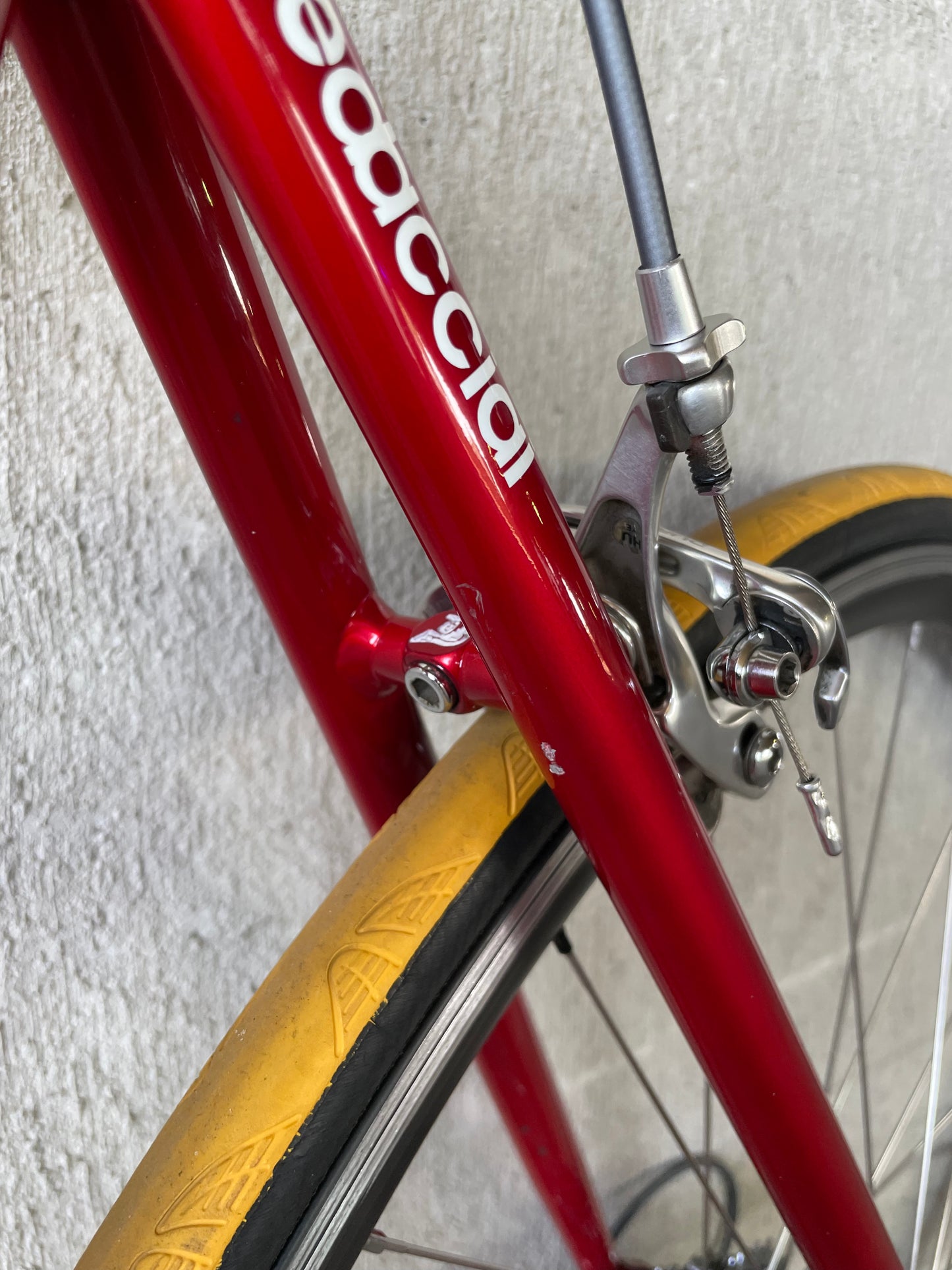 Tommasini Colorado