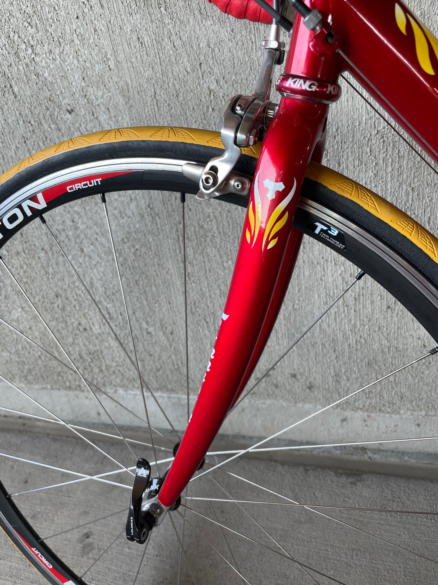 Tommasini Colorado