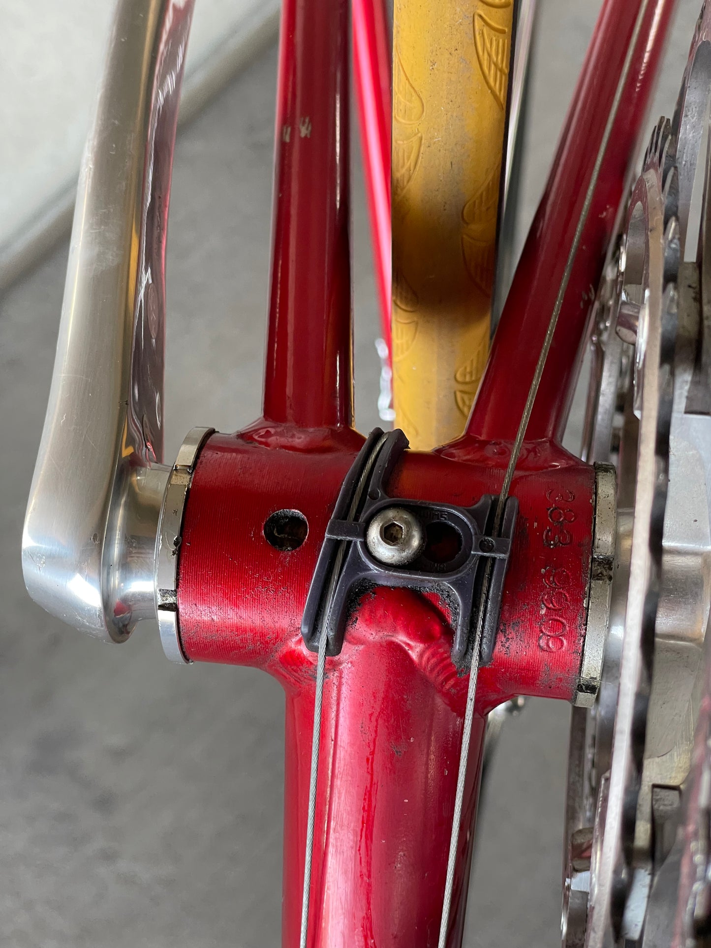 Tommasini Colorado