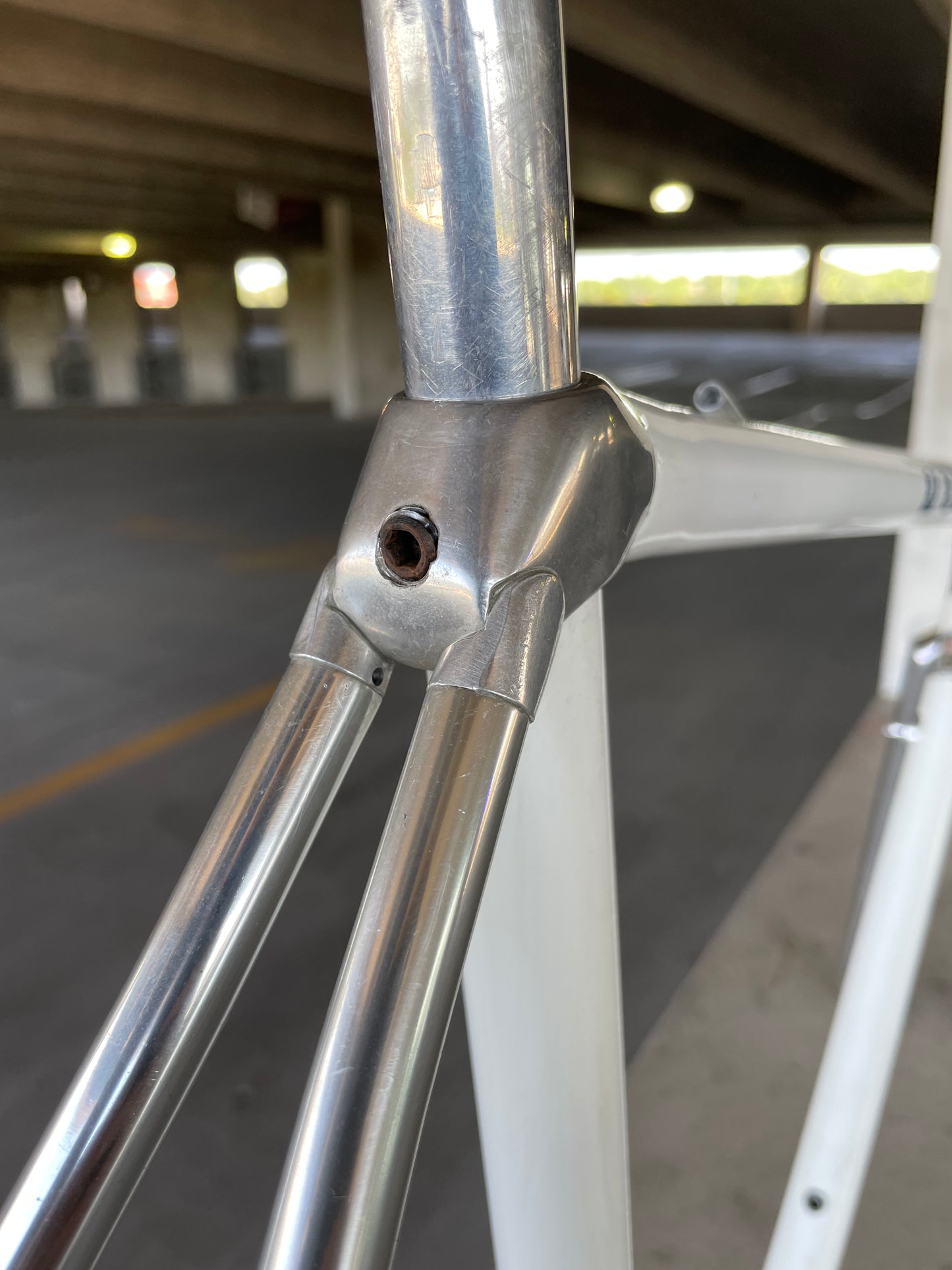Vitus 979