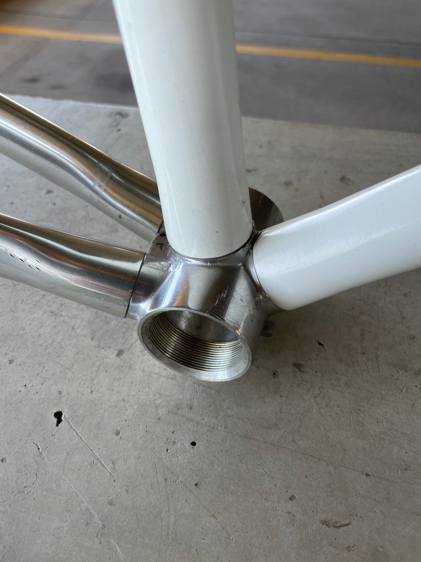 Vitus 979