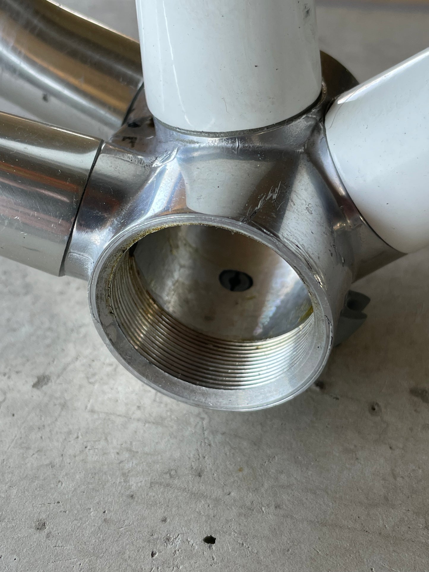 Vitus 979