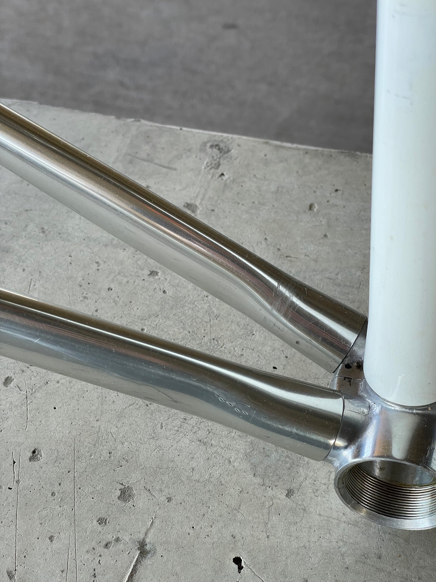 Vitus 979