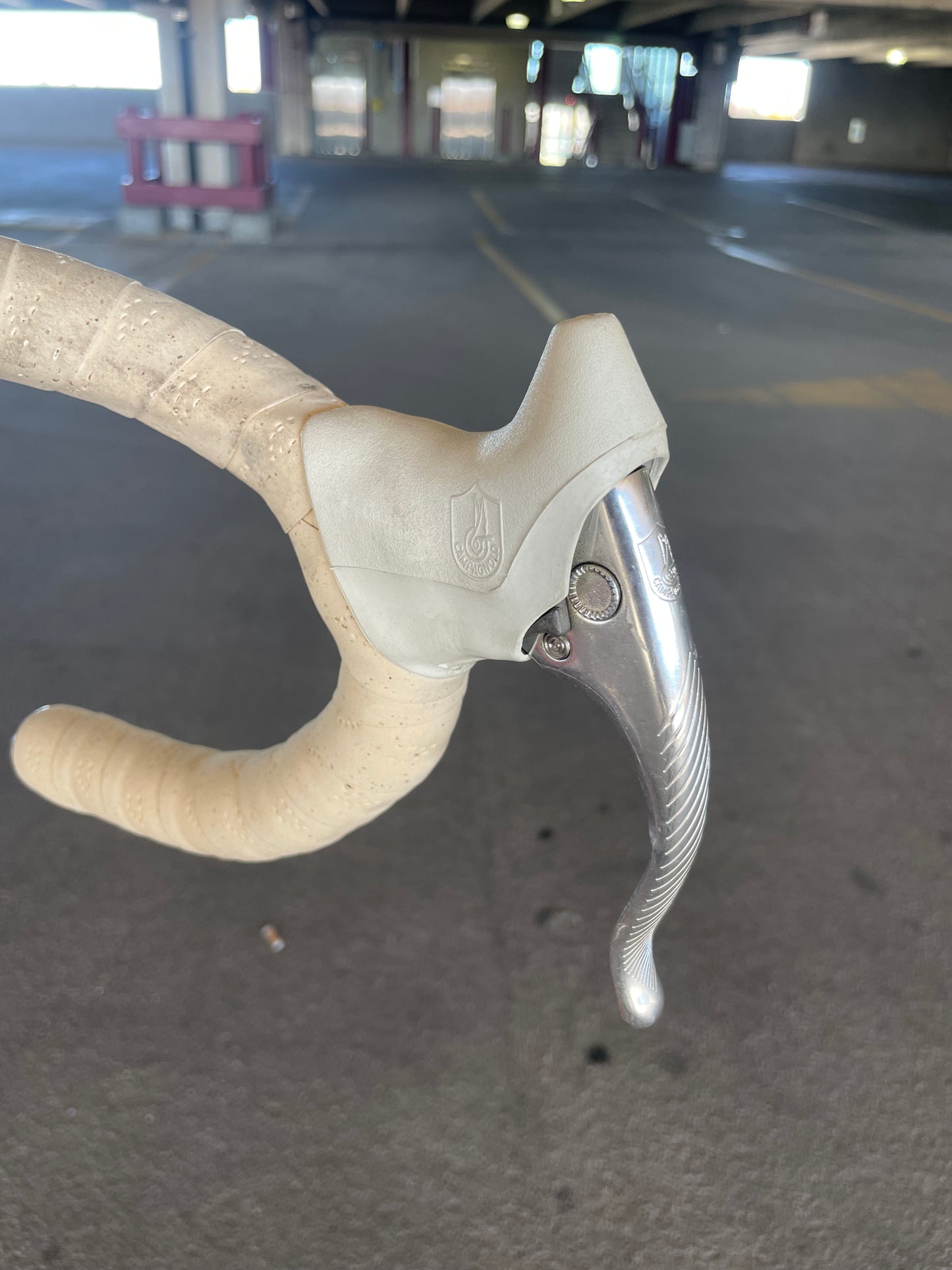 1989 Schwinn Paramount