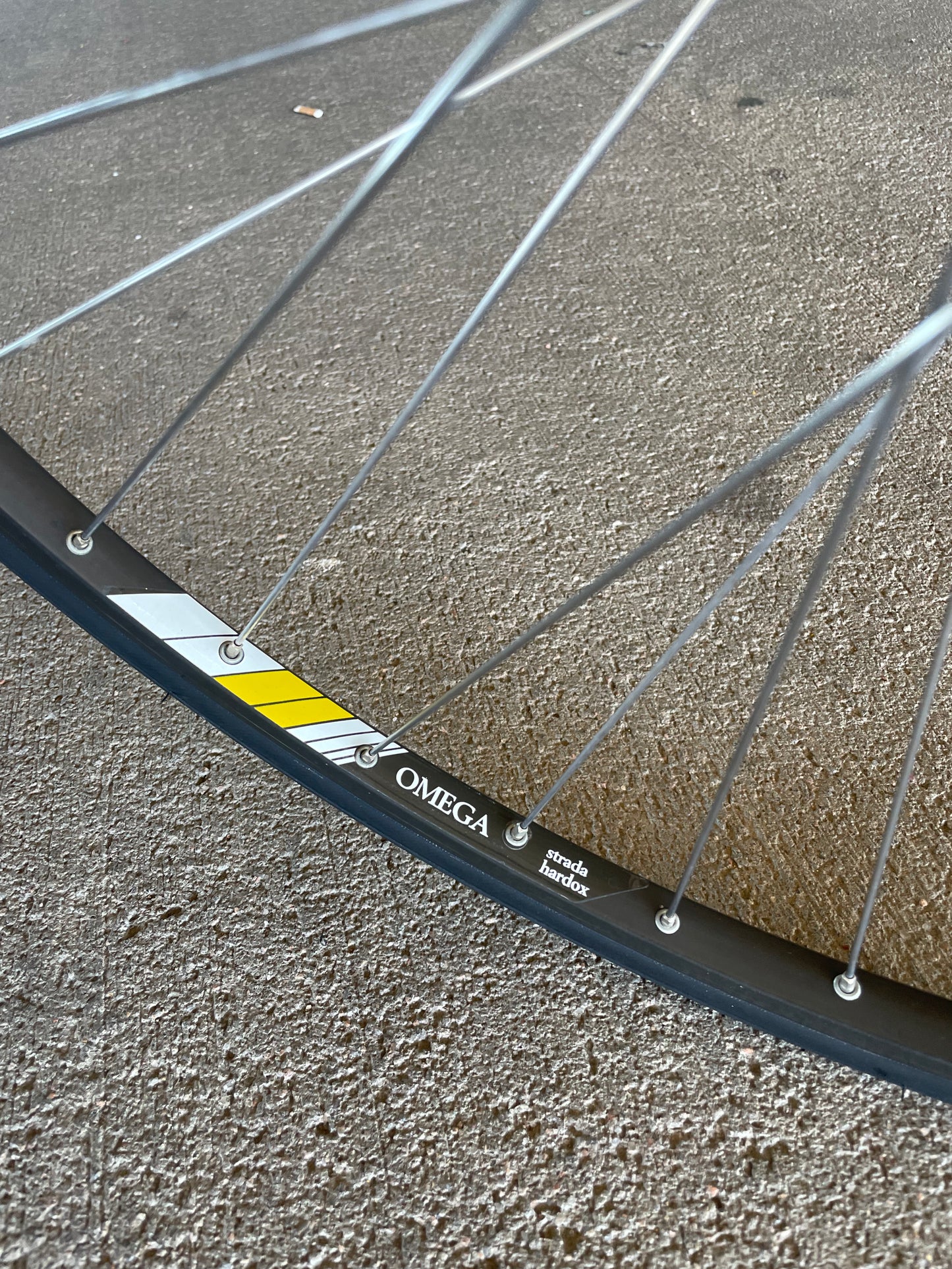 1989 Schwinn Paramount