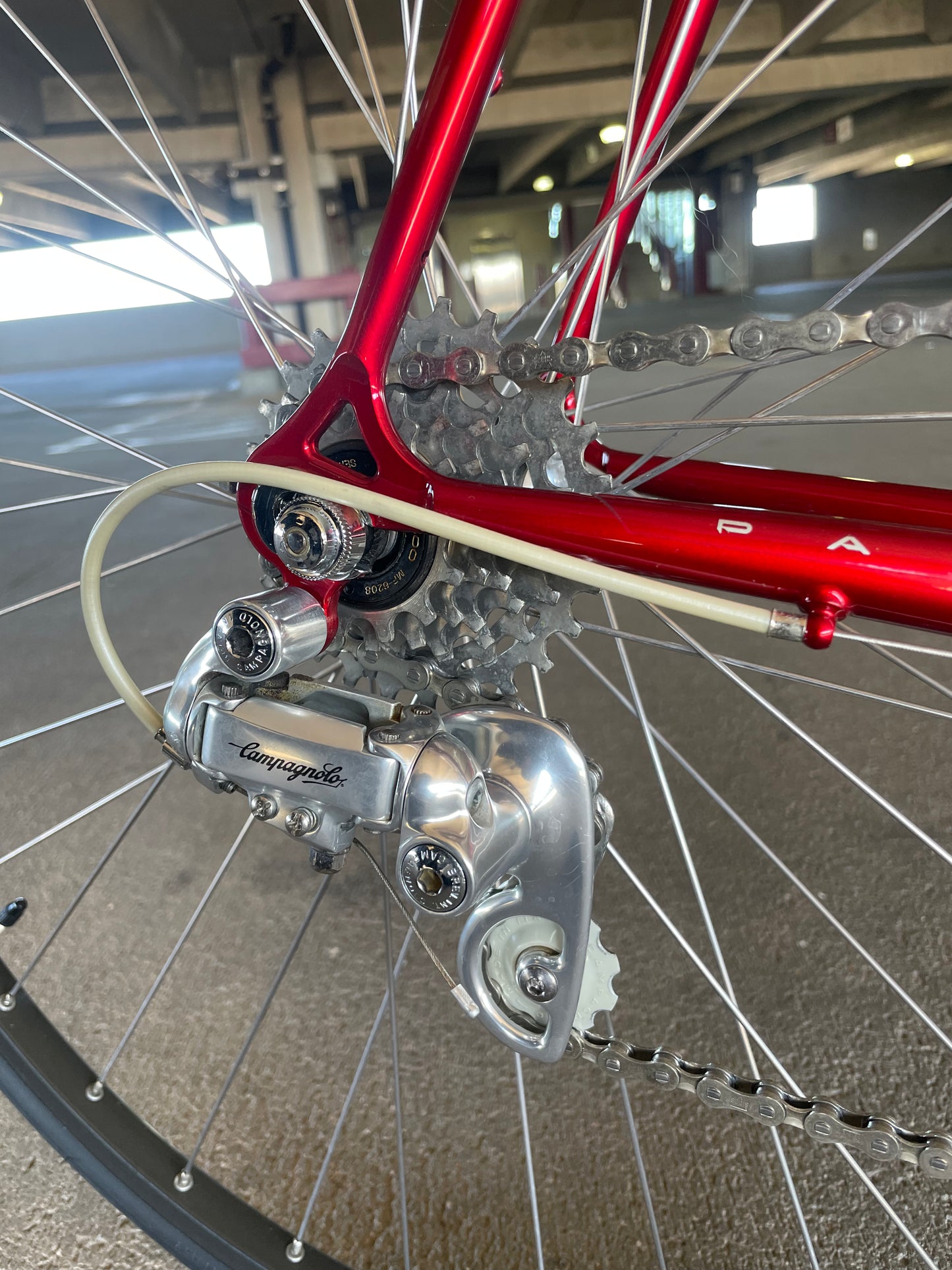 1989 Schwinn Paramount