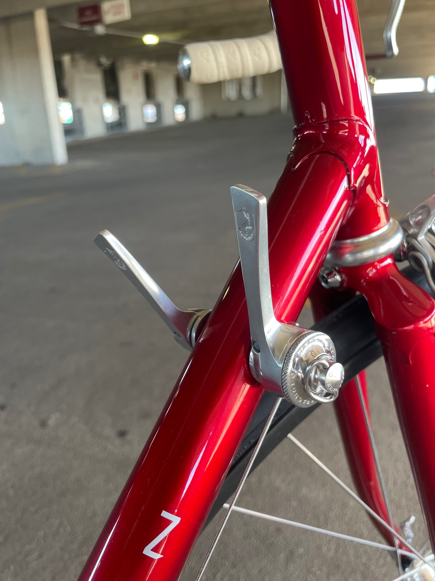 1989 Schwinn Paramount