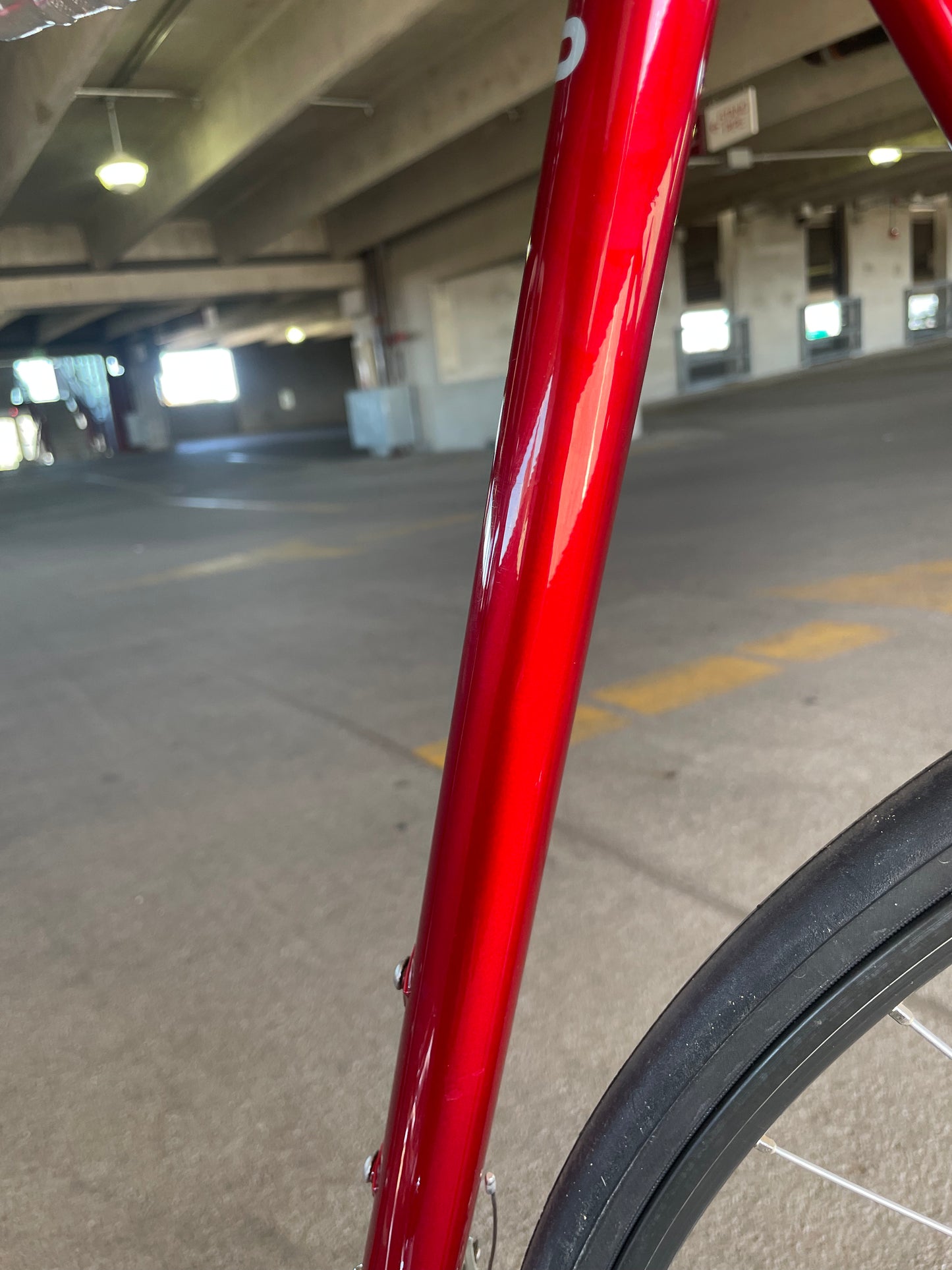 1989 Schwinn Paramount