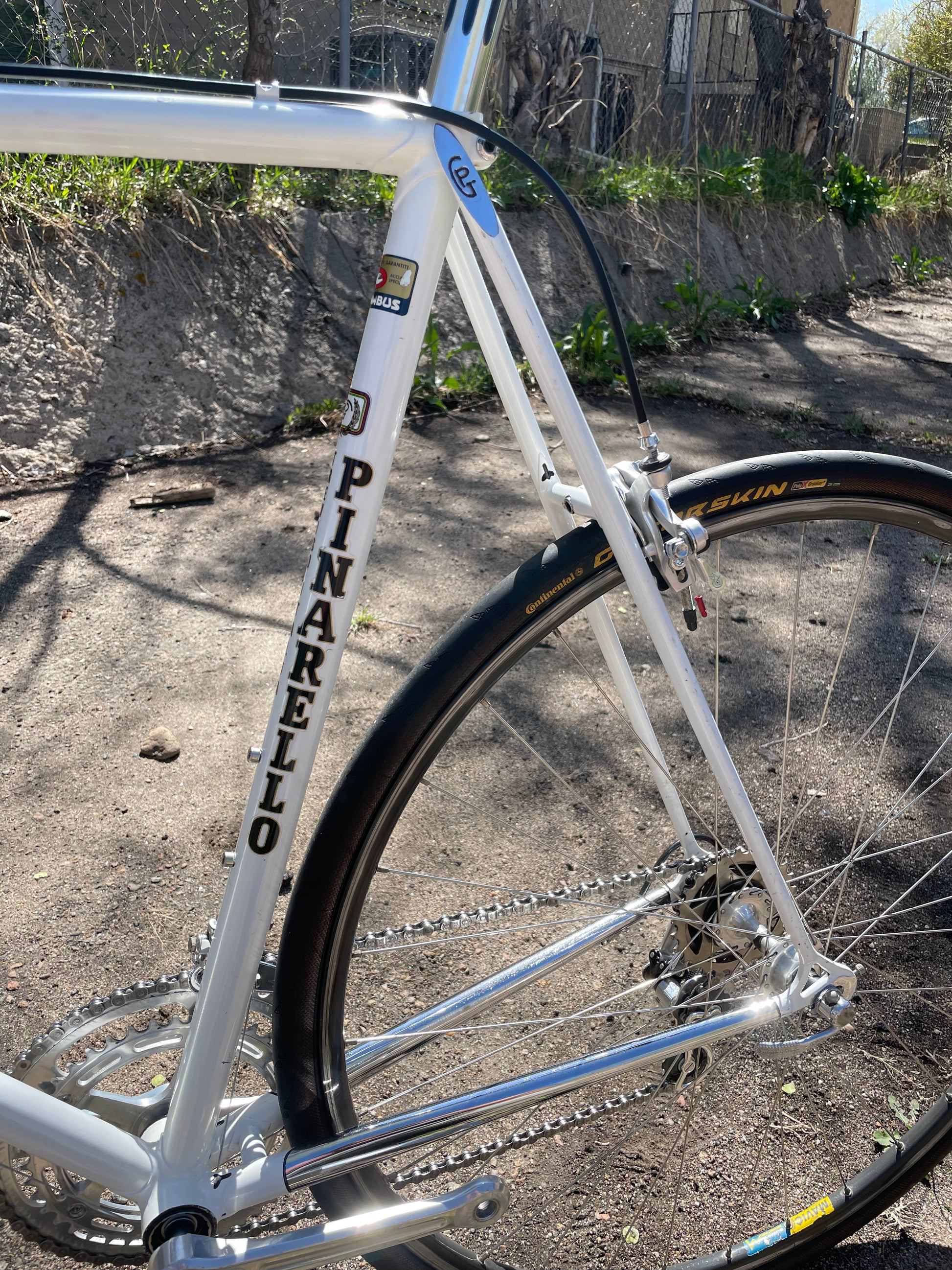 Pinarello Treviso – Ben's Cycles Denver