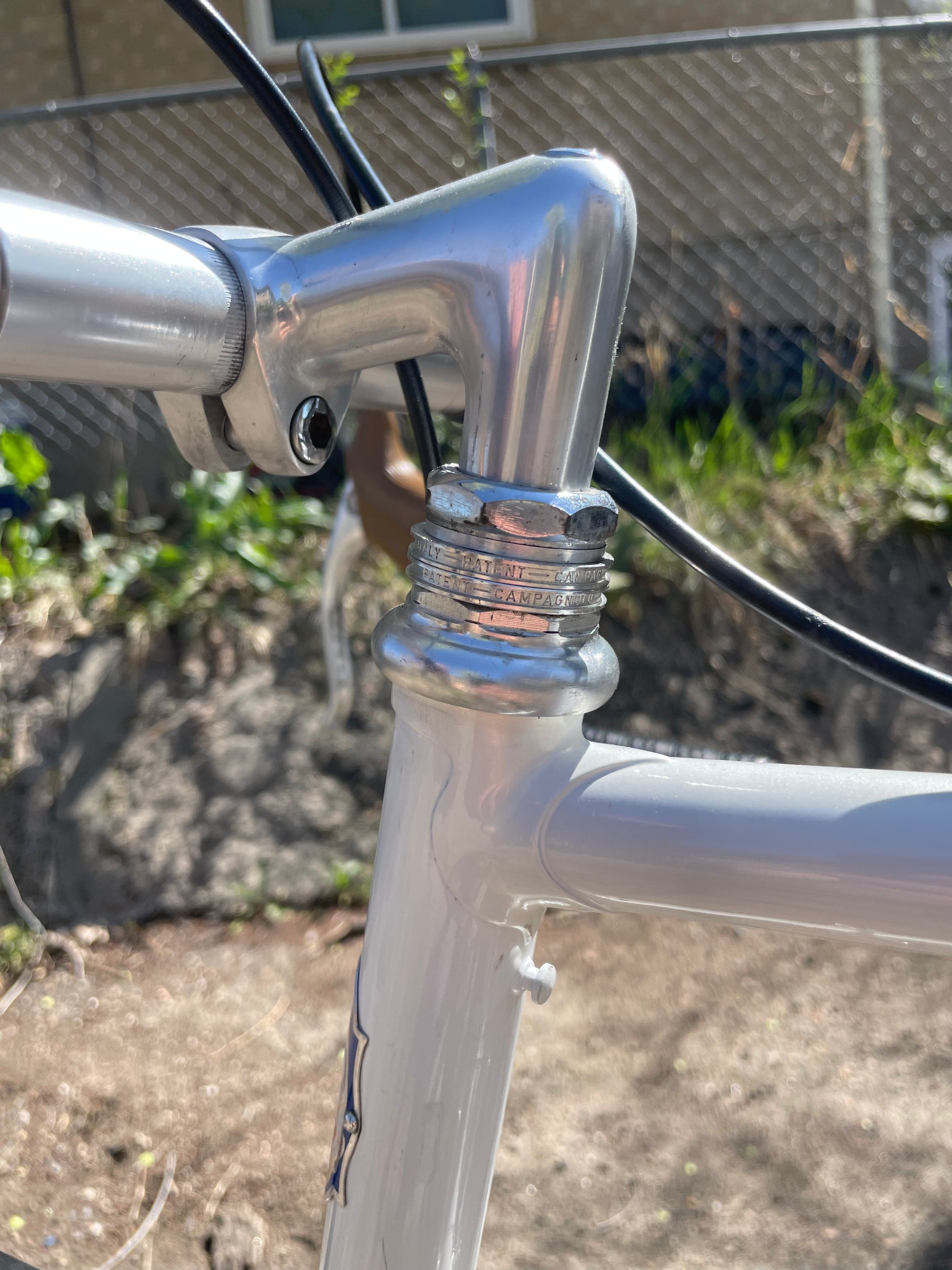 Pinarello Treviso – Ben's Cycles Denver