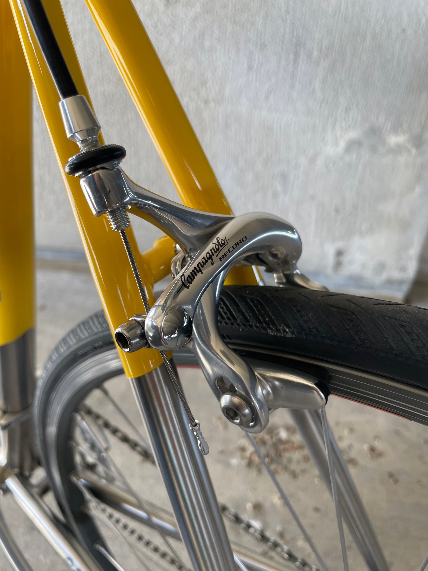 Serotta Legend Ti with S&S Couplers