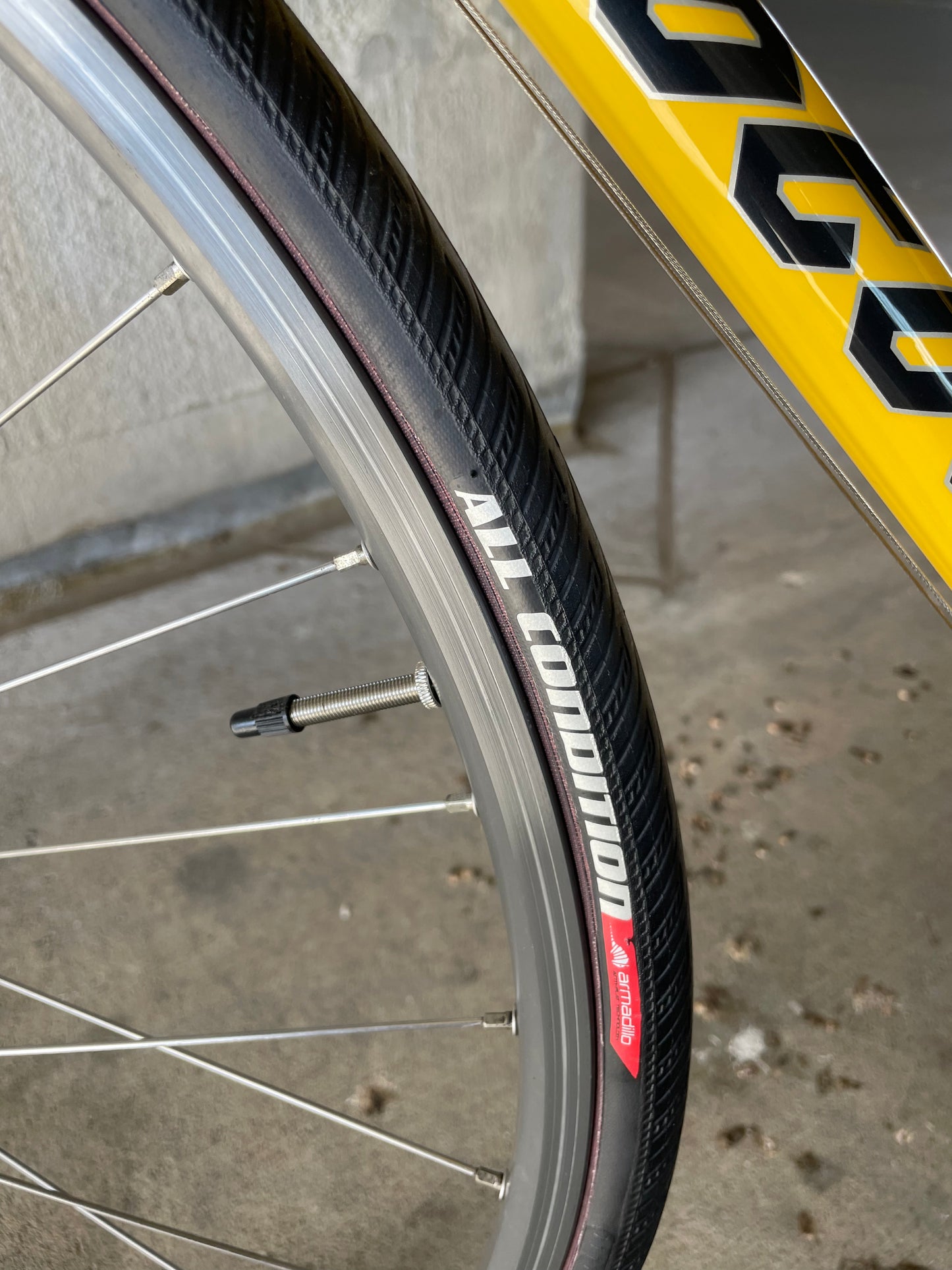 Serotta Legend Ti with S&S Couplers