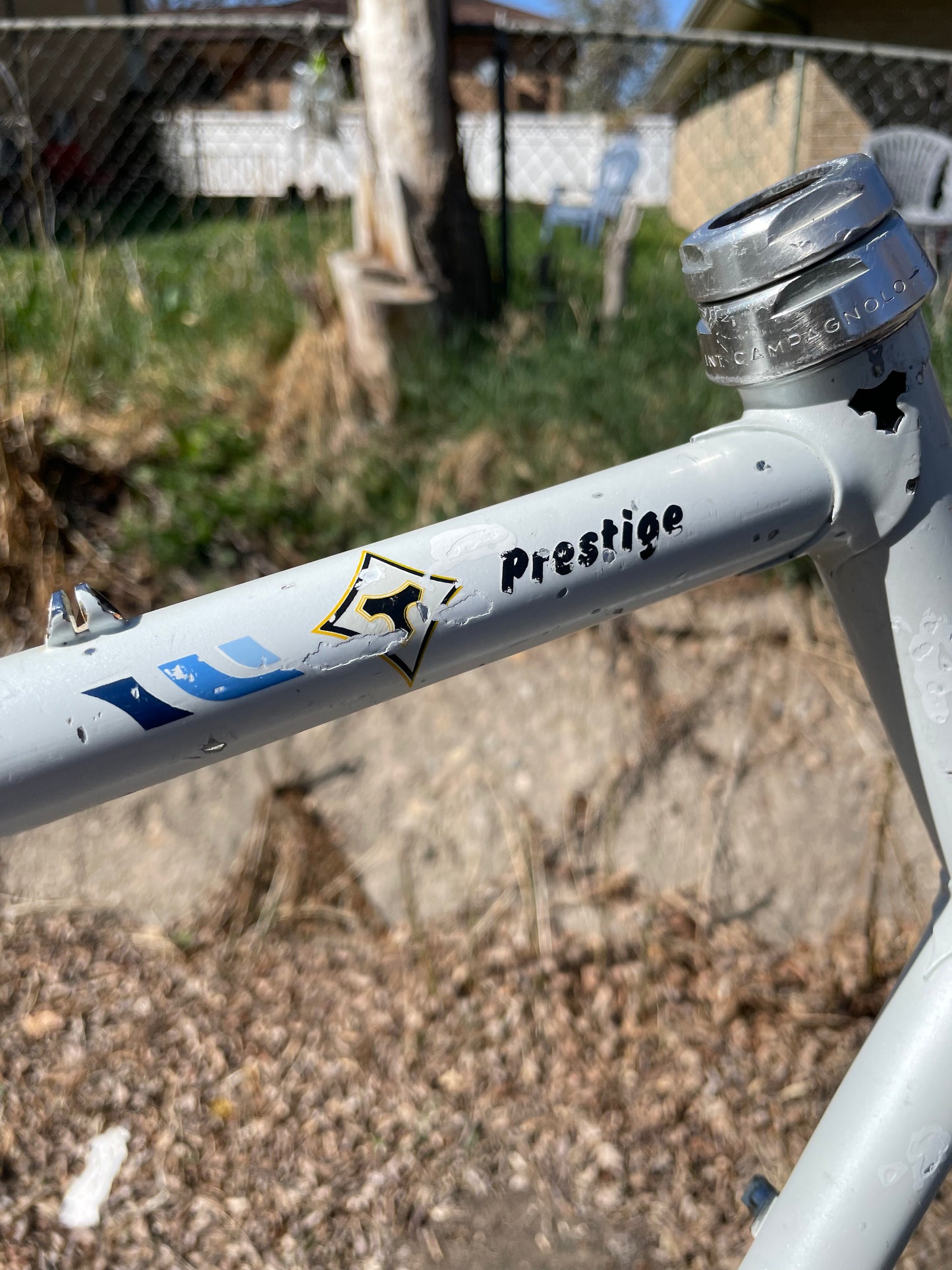 Tommasini Prestige