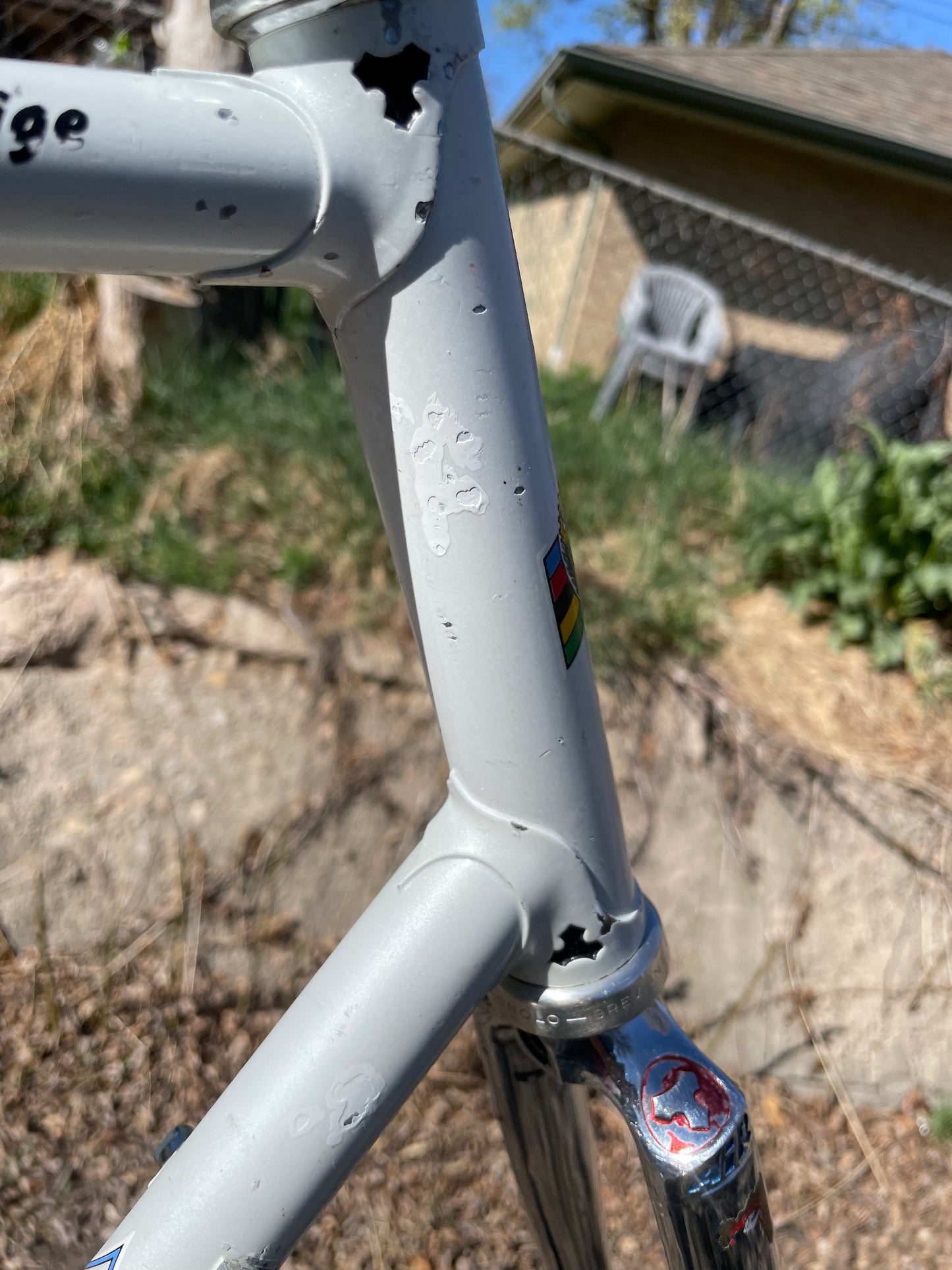 Tommasini Prestige