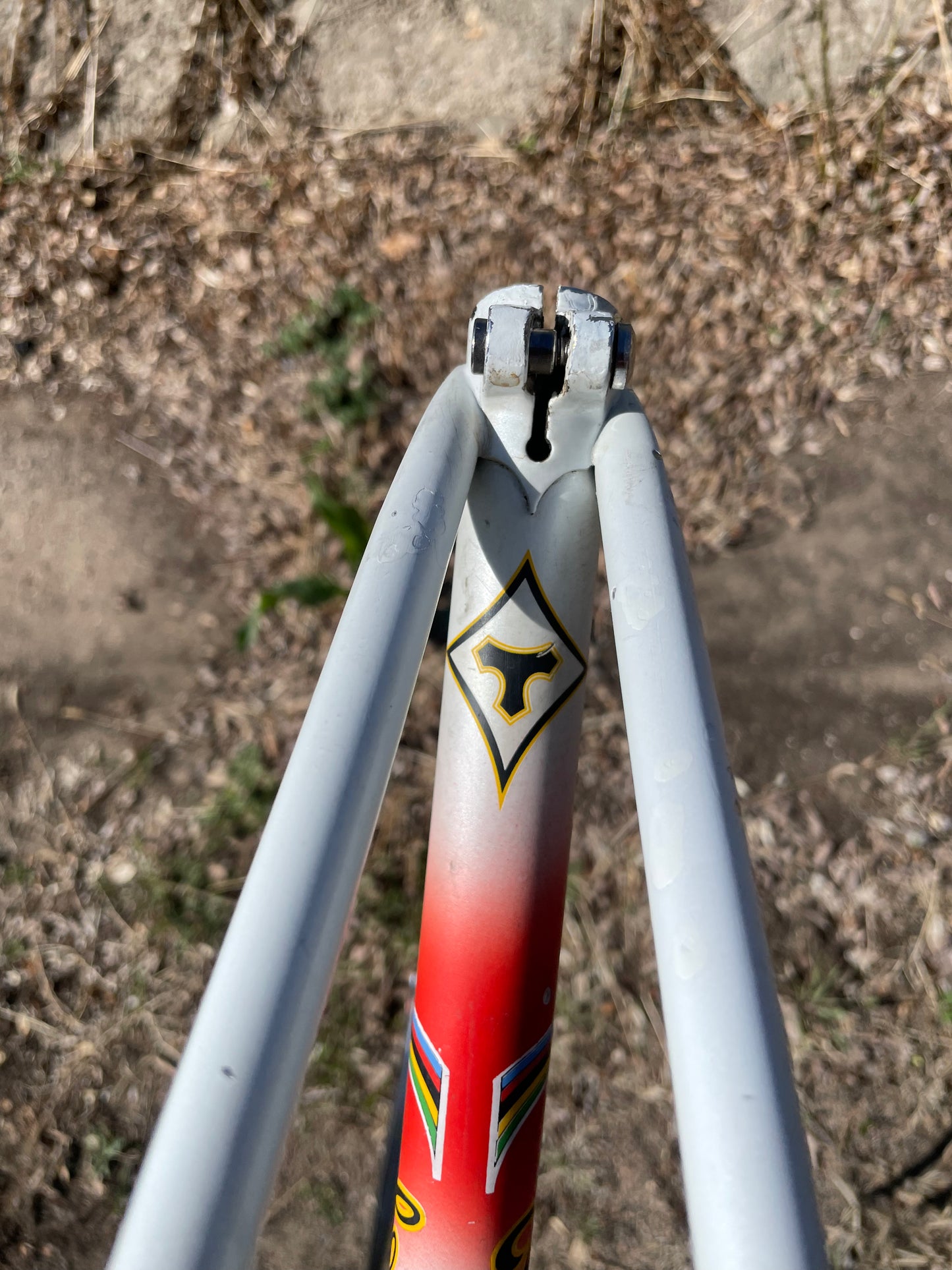Tommasini Prestige