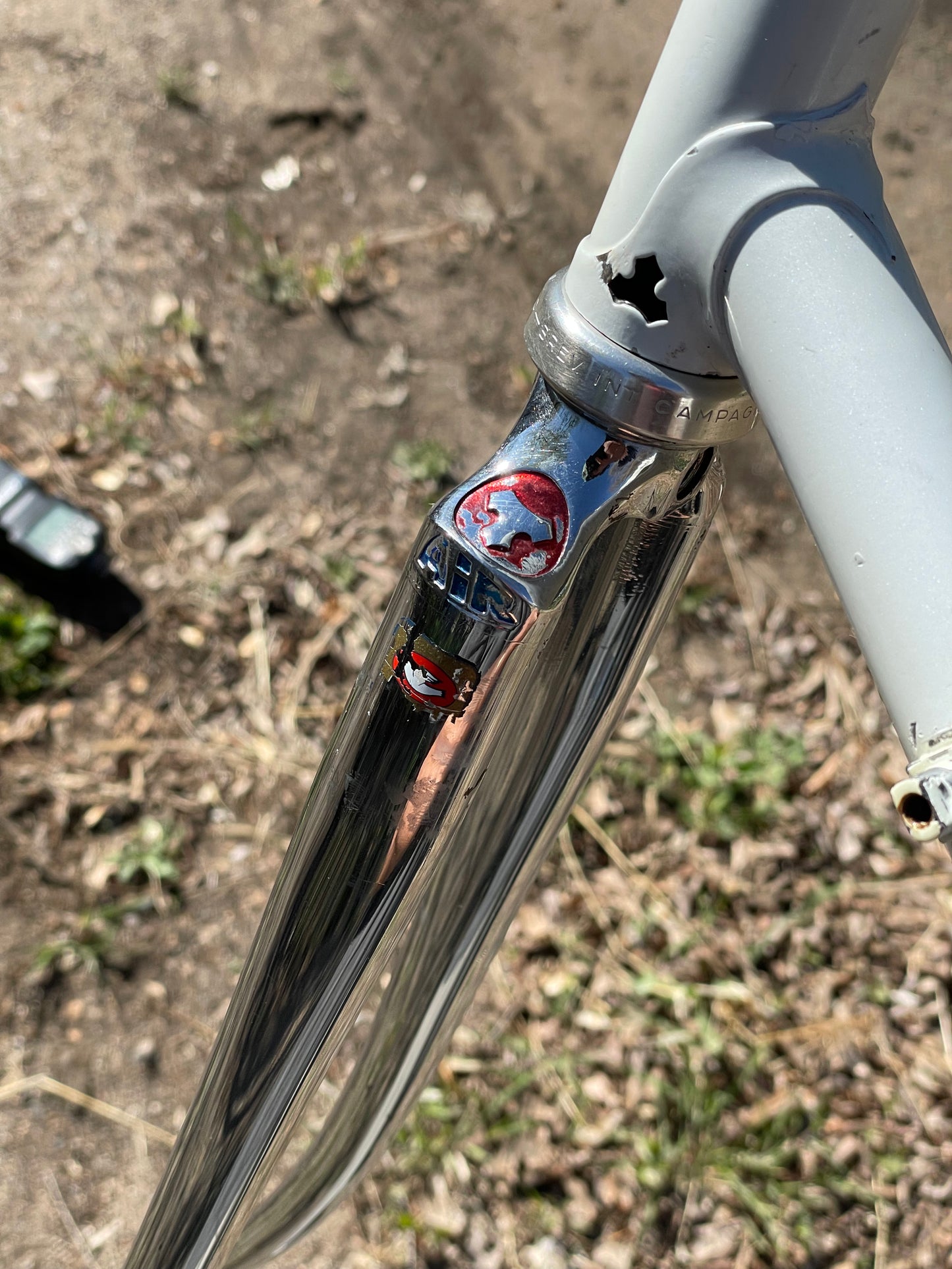 Tommasini Prestige