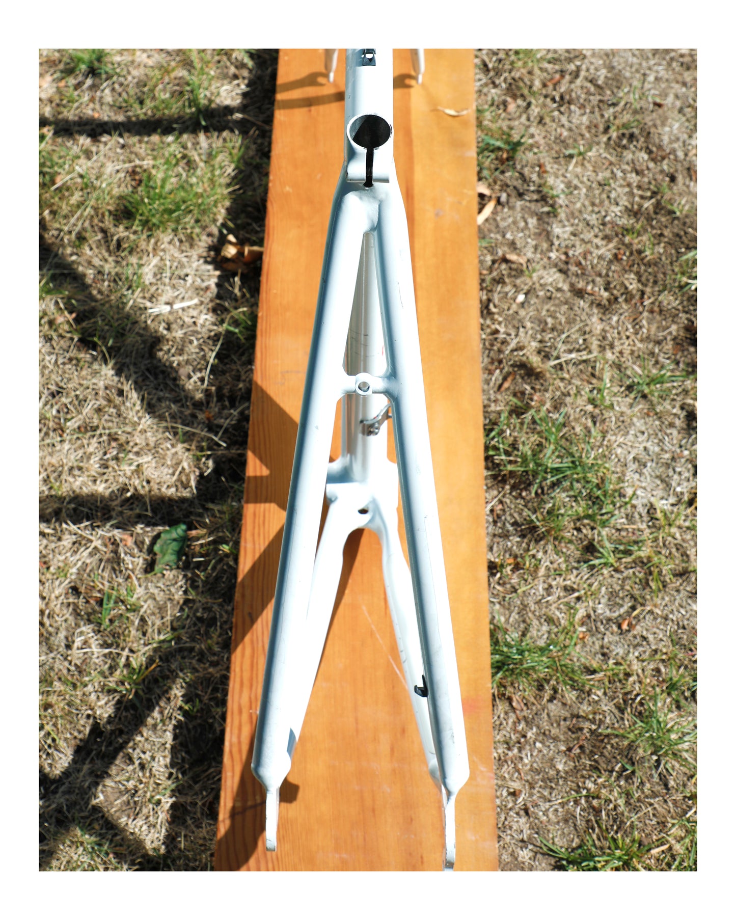 Cannondale Team Crest SR500