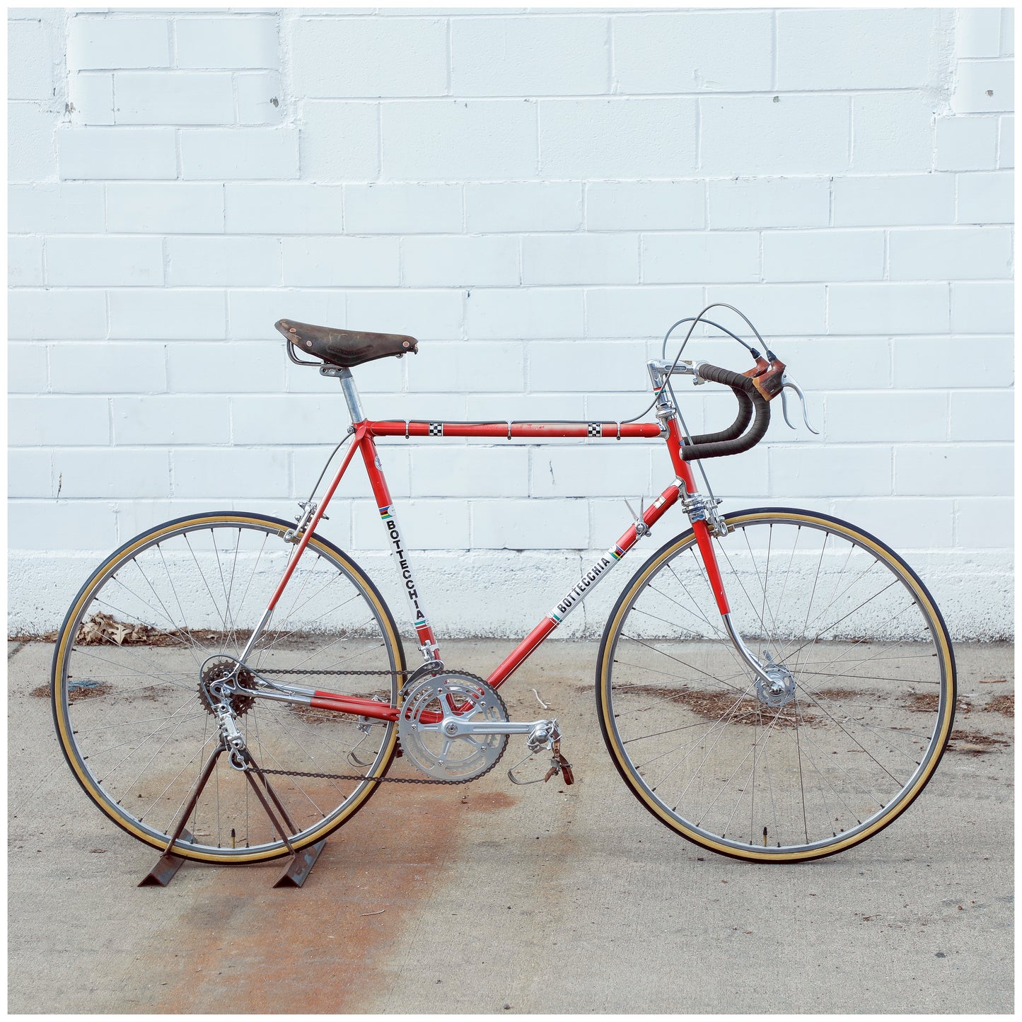 Bottecchia Professional