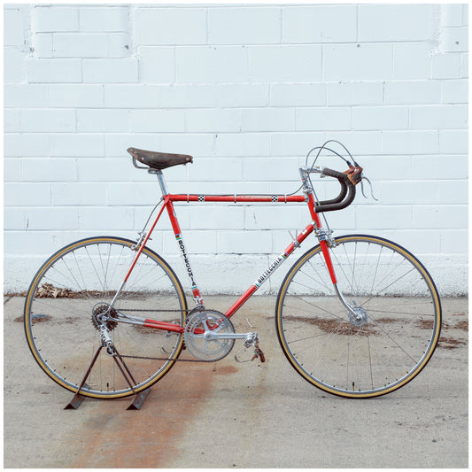 Bottecchia Professional