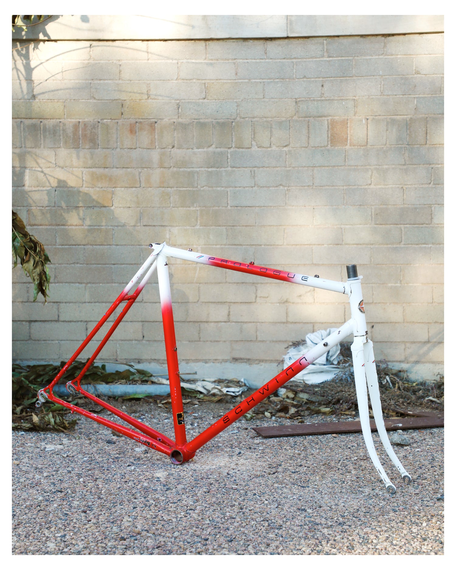 red schwinn bicycle paint Axum Comp X Adult Unisex 29-in. Mountain Bike Medium, Theres no better way to start exploring the trails than with the Axum Comp X by Schwinn. Hand-Painted Lowrider Bikes: Anastasia Schwinn