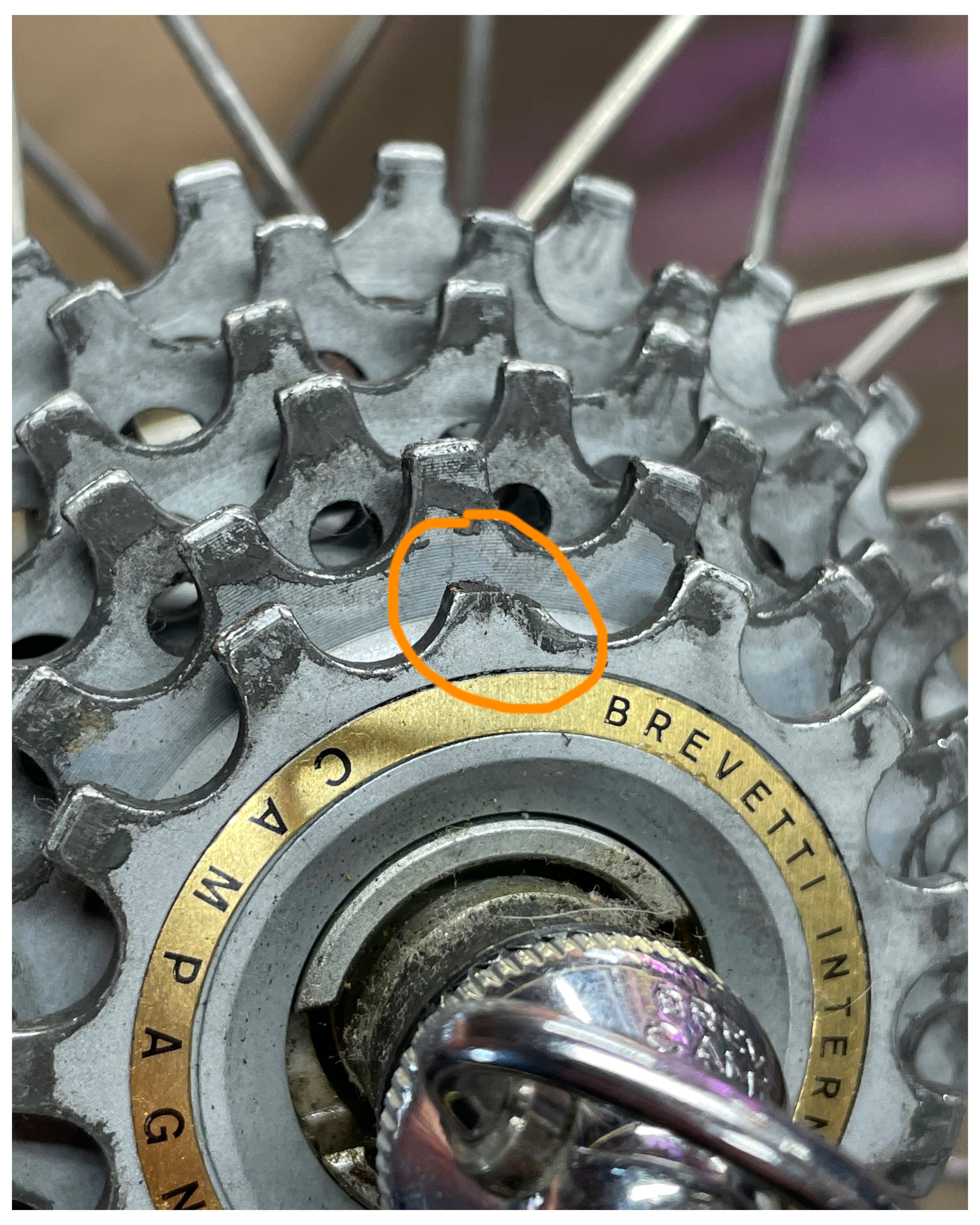 Nishiki Road Compe – Ben's Cycles Denver