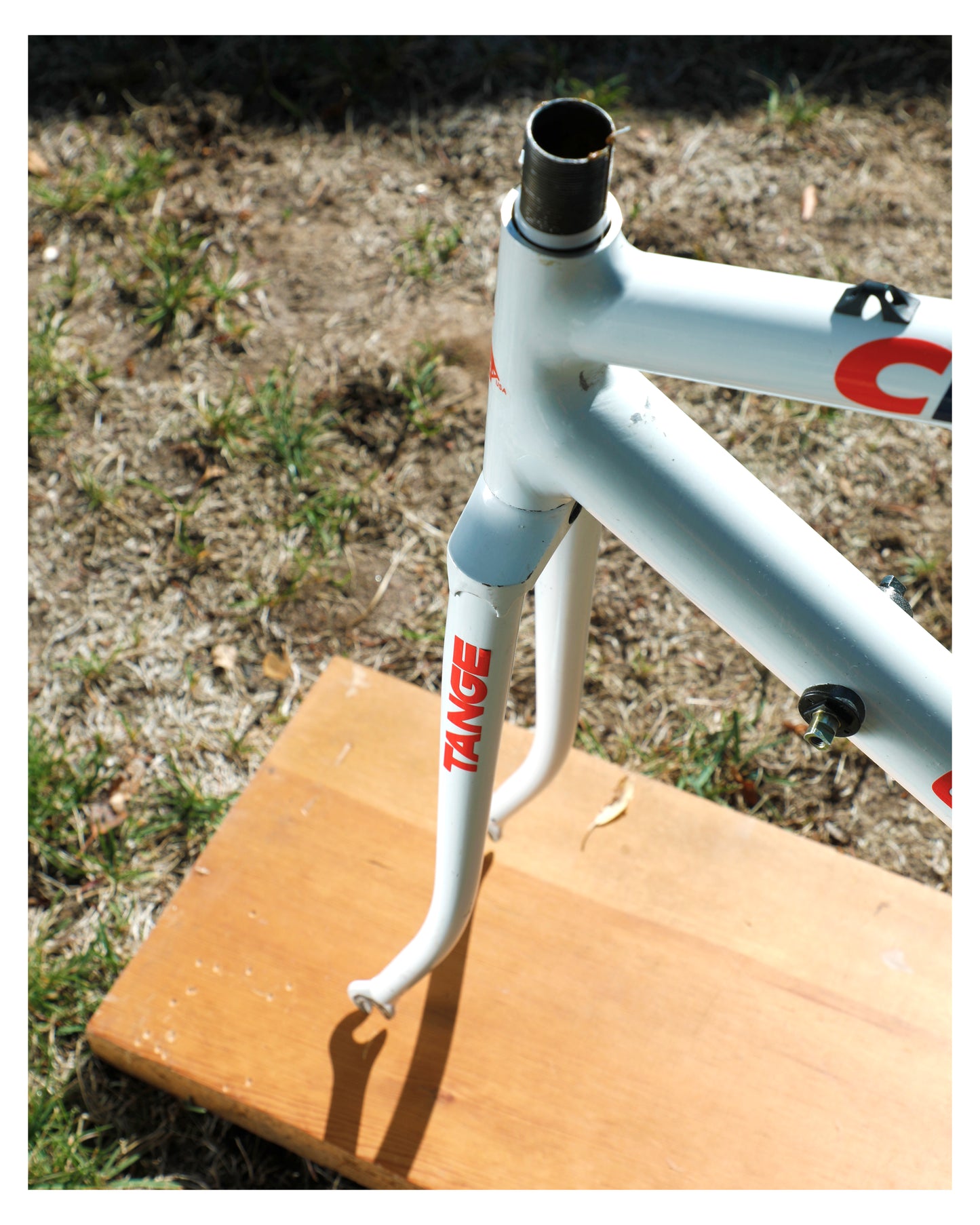 Cannondale Team Crest SR500