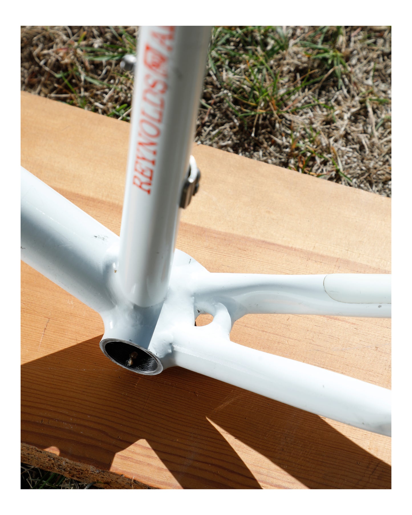 Cannondale Team Crest SR500