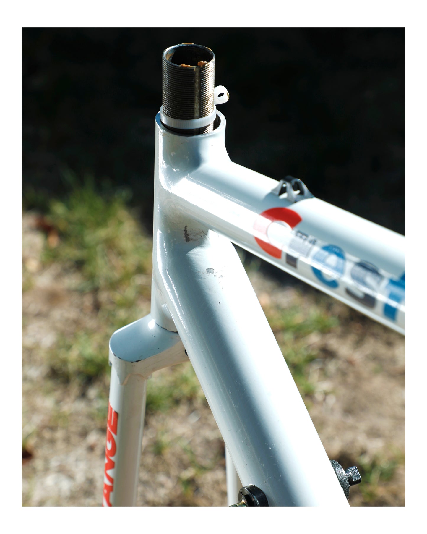 Cannondale Team Crest SR500