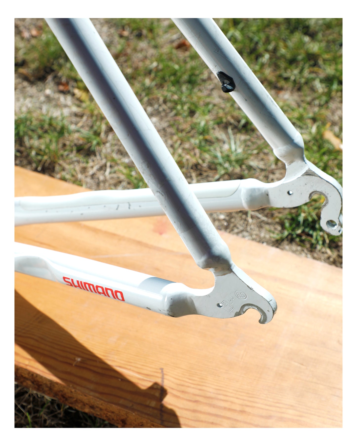 Cannondale Team Crest SR500