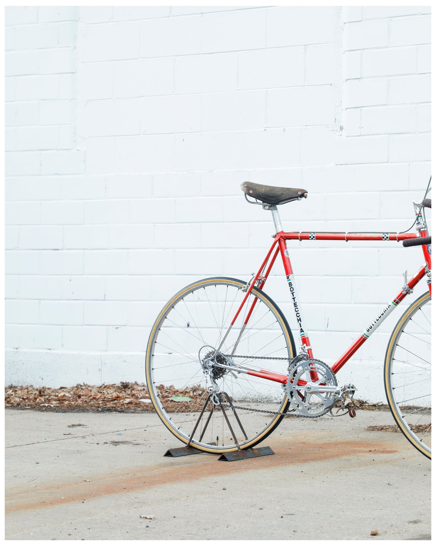 Bottecchia Professional