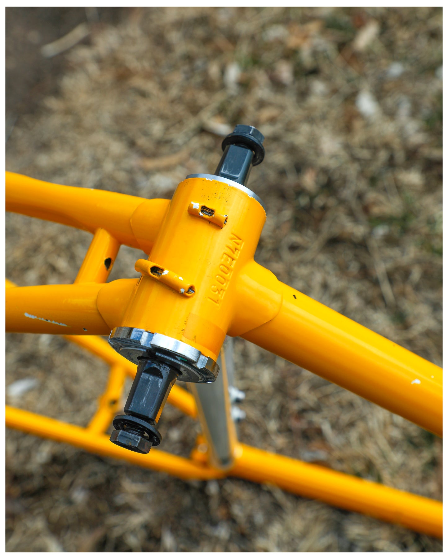 Centurion Ironman Dave Scott Master