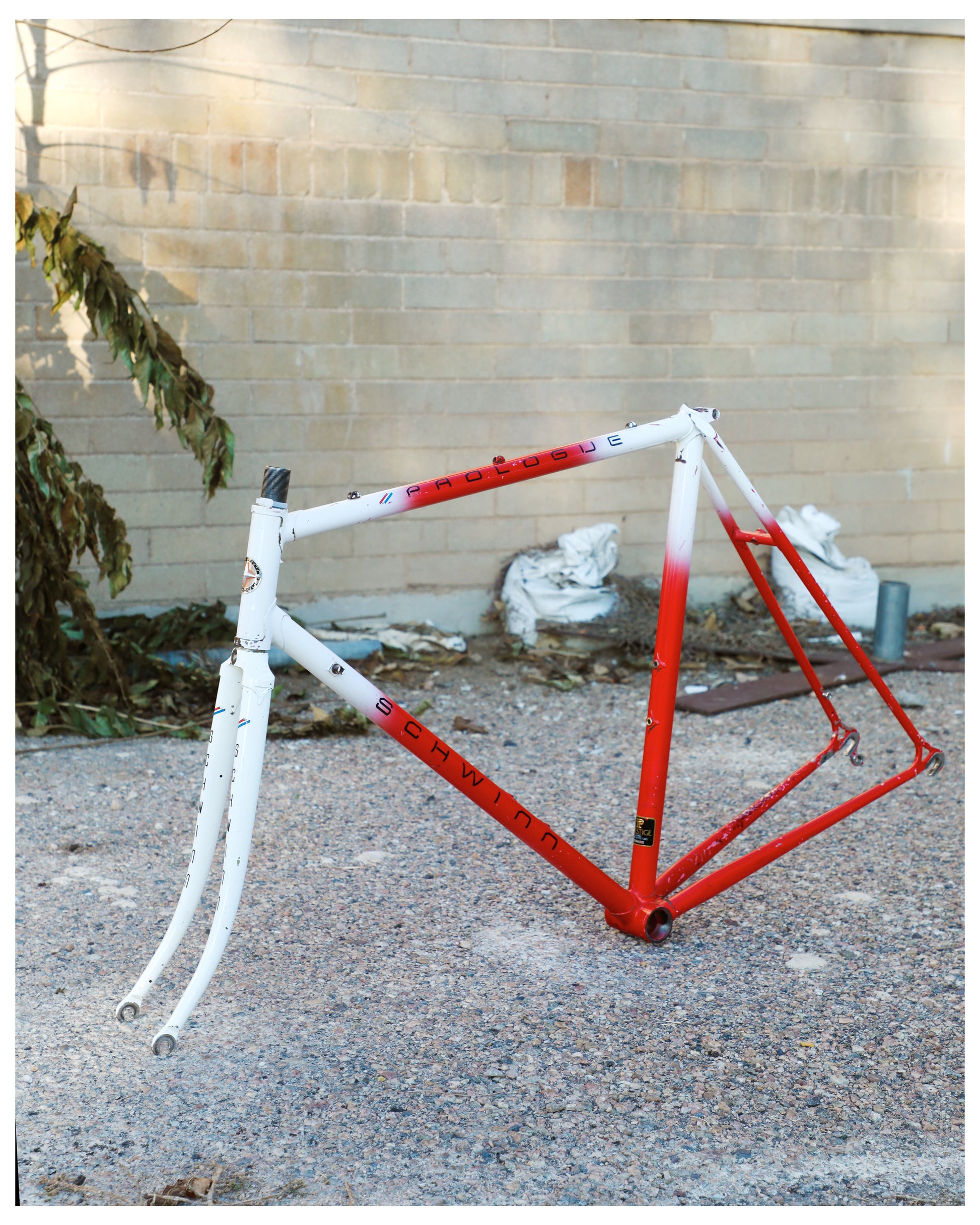 schwinn bicycle paint colors Schwinn Prologue – Ben's Cycles Denver