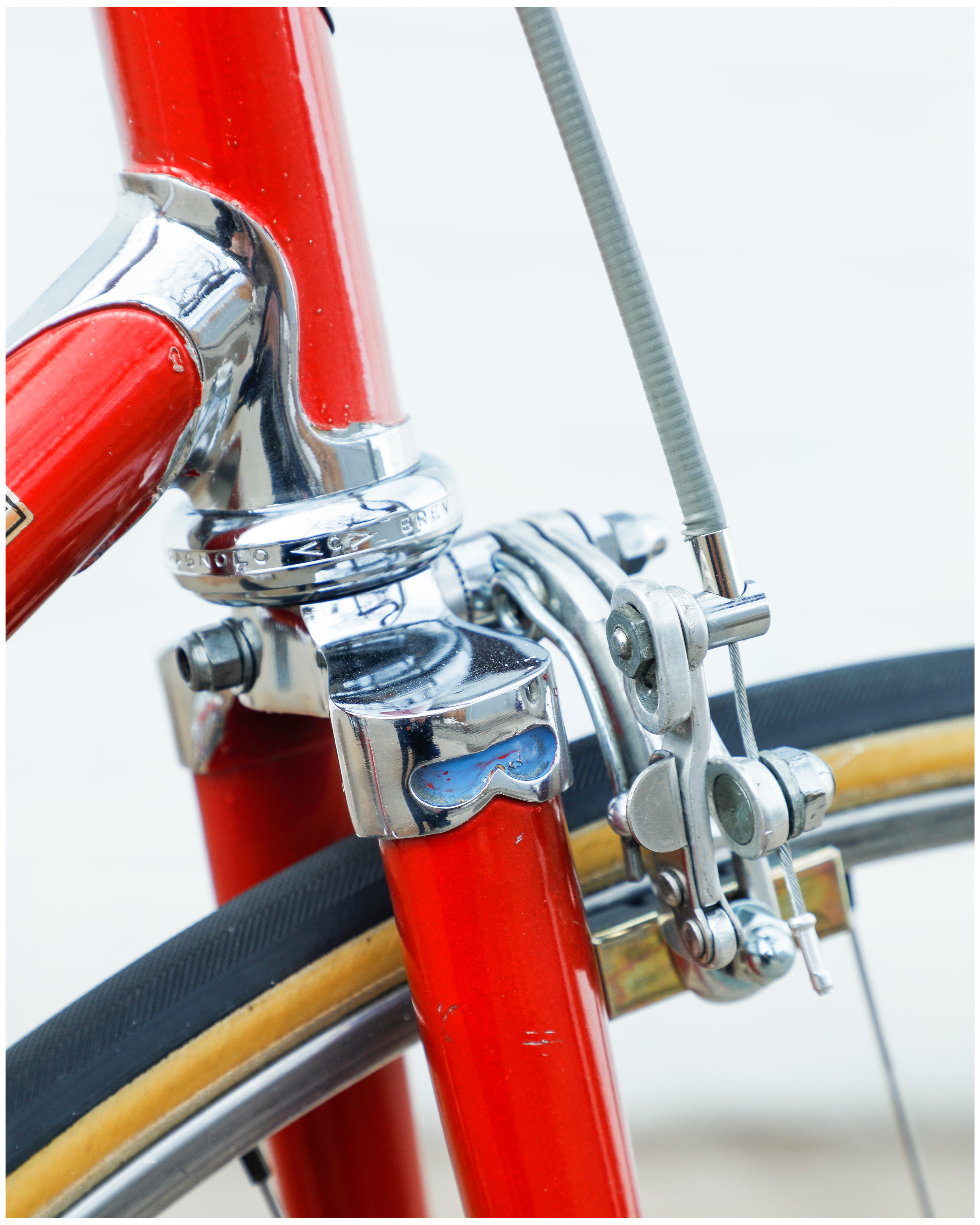 Bottecchia Professional – Ben's Cycles Denver