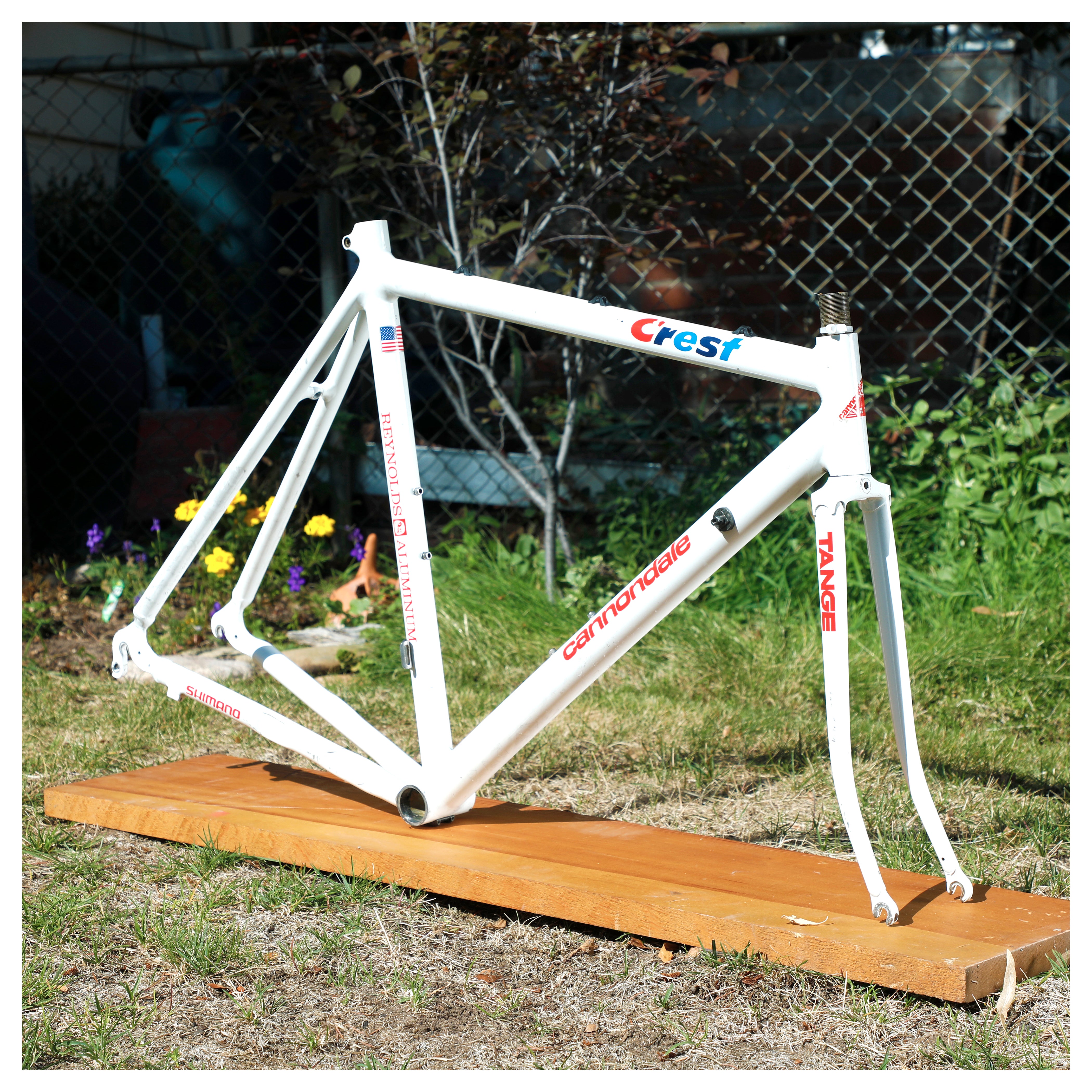Cannondale Team Crest SR500 – Ben's Cycles Denver