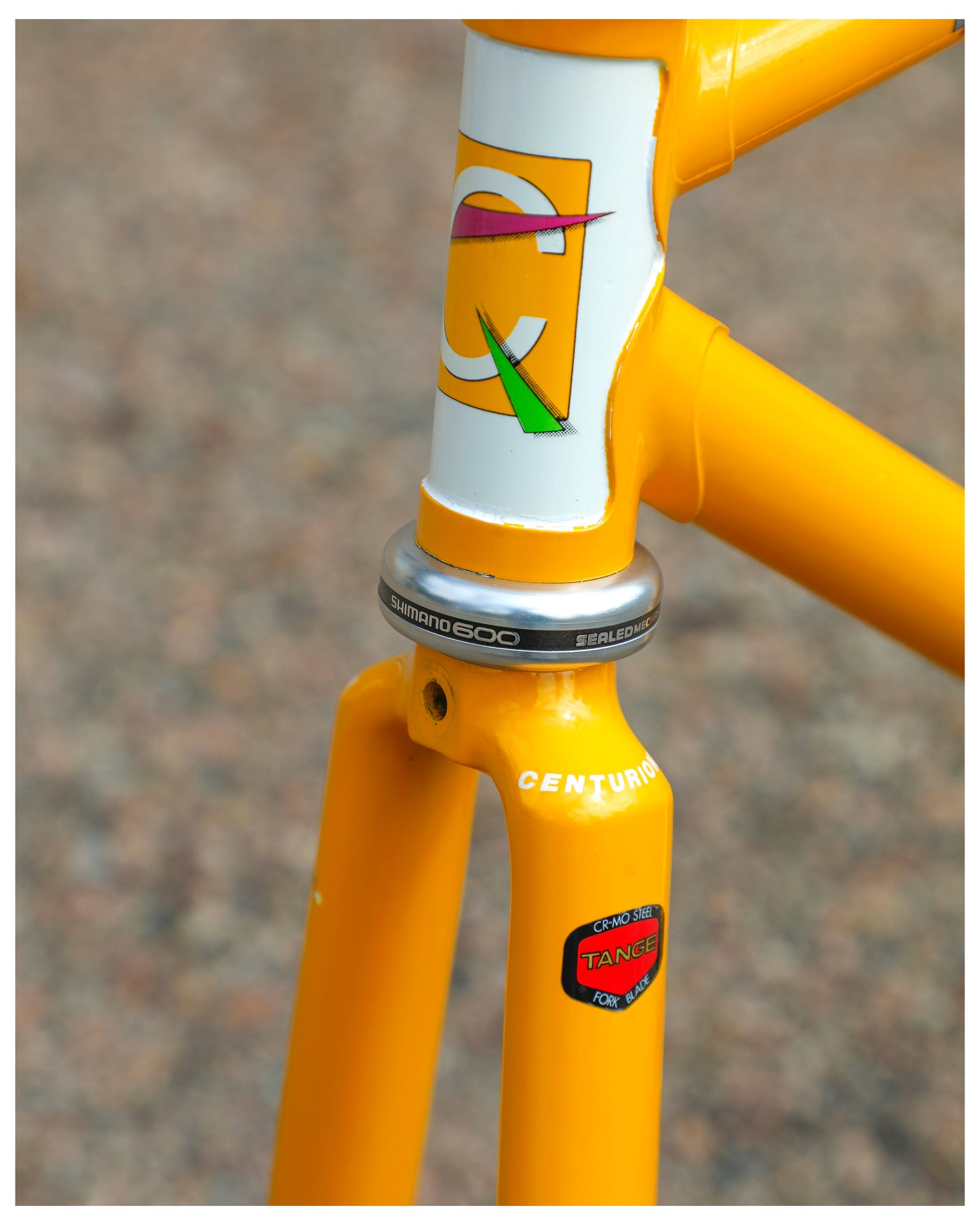 Centurion Ironman Dave Scott Master