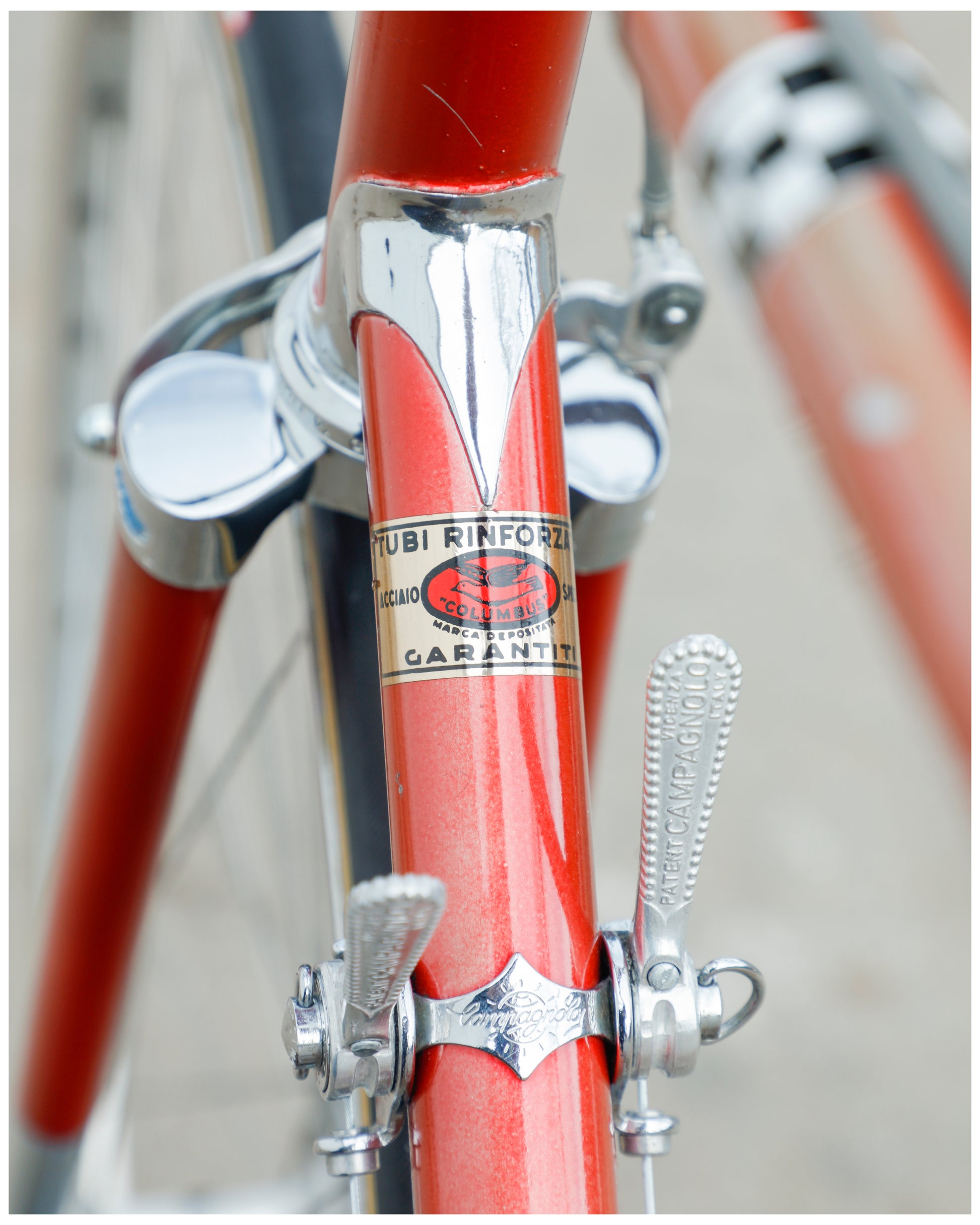 Bottecchia Professional – Ben's Cycles Denver