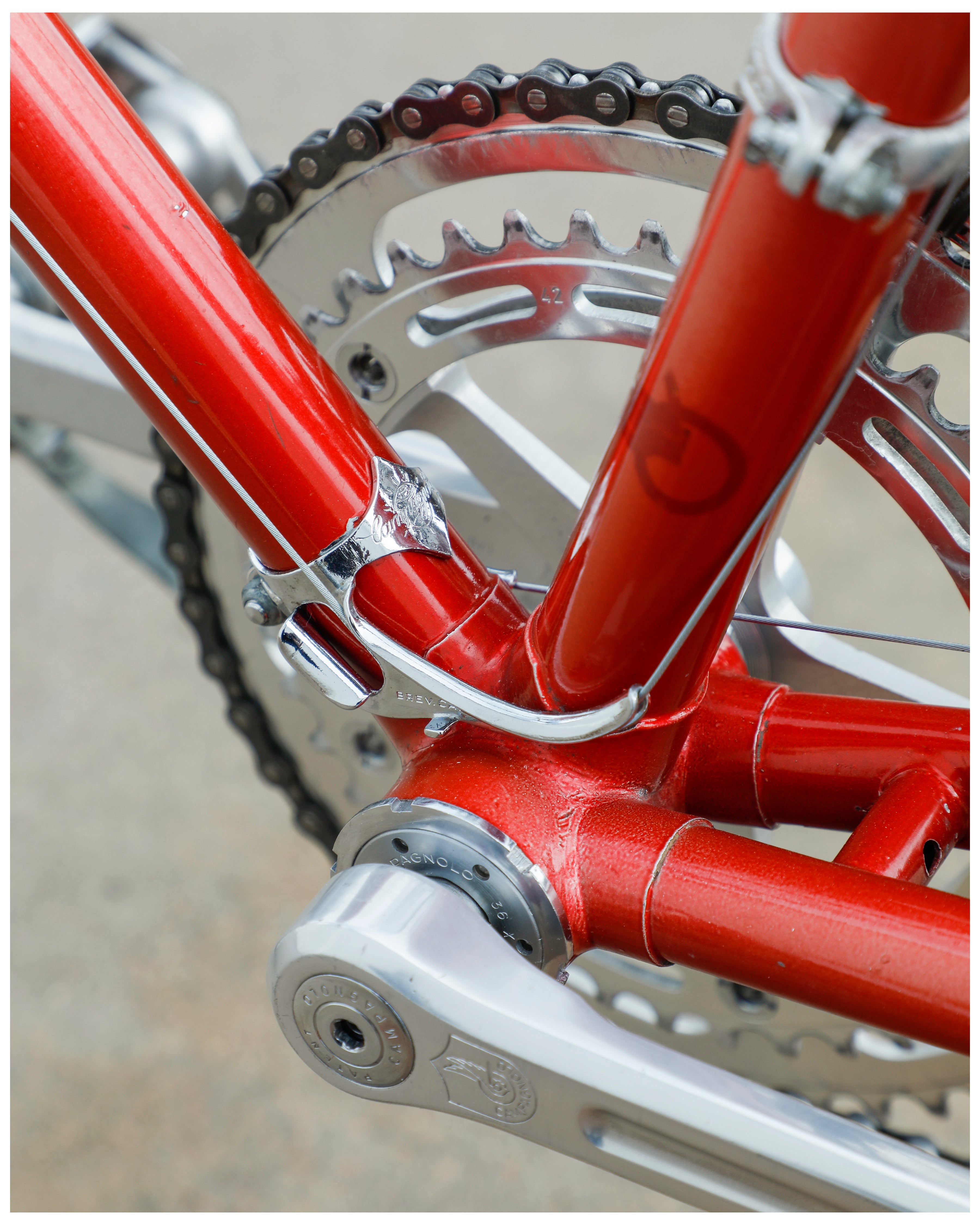 Bottecchia Professional – Ben's Cycles Denver