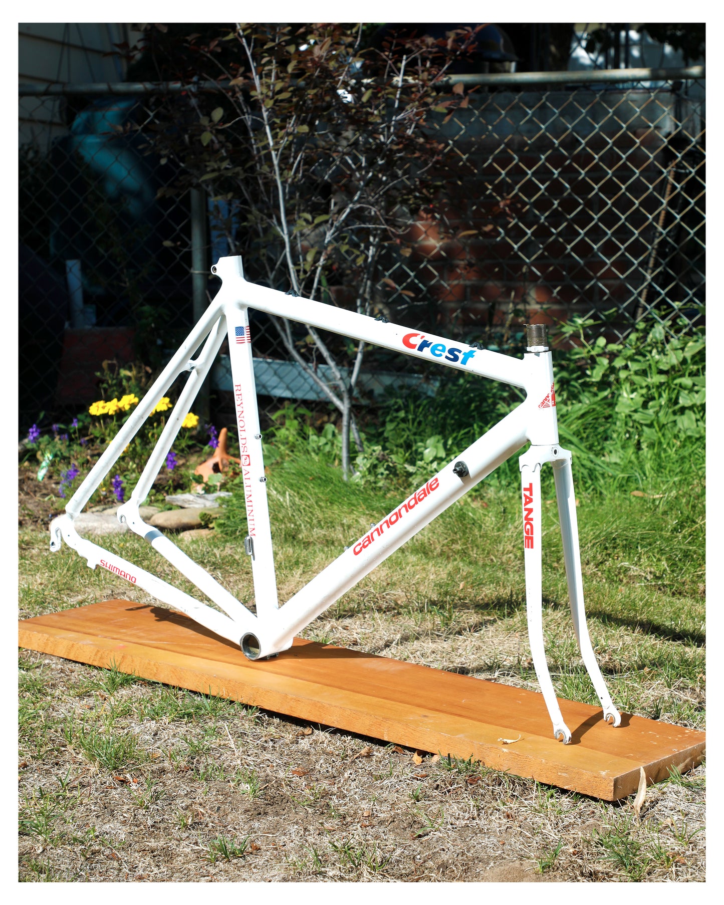 Cannondale Team Crest SR500