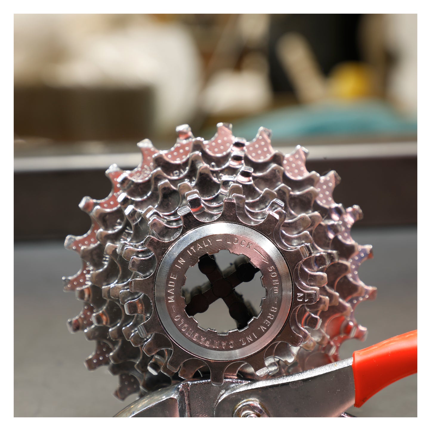 Campagnolo 8 Speed Cassette - 12/23