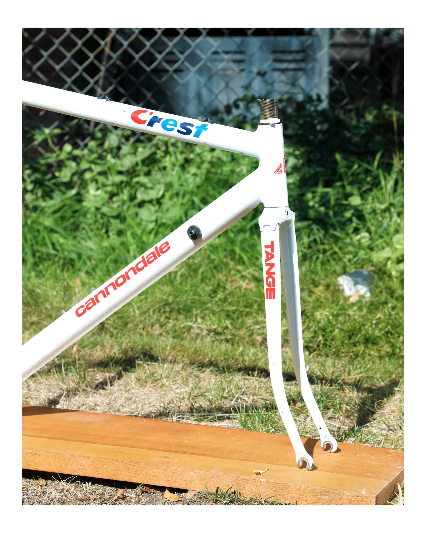 Cannondale Team Crest SR500