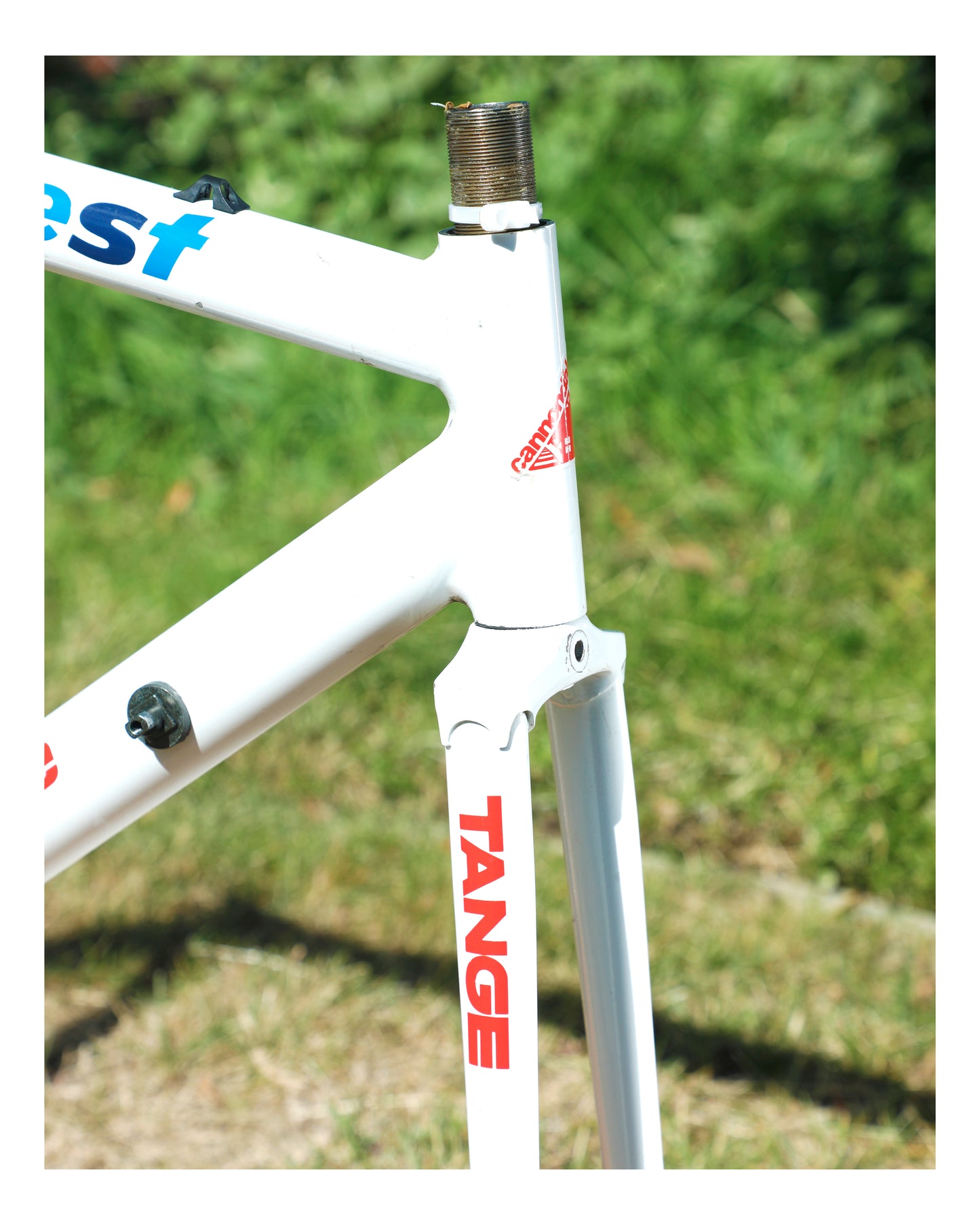 Cannondale Team Crest SR500