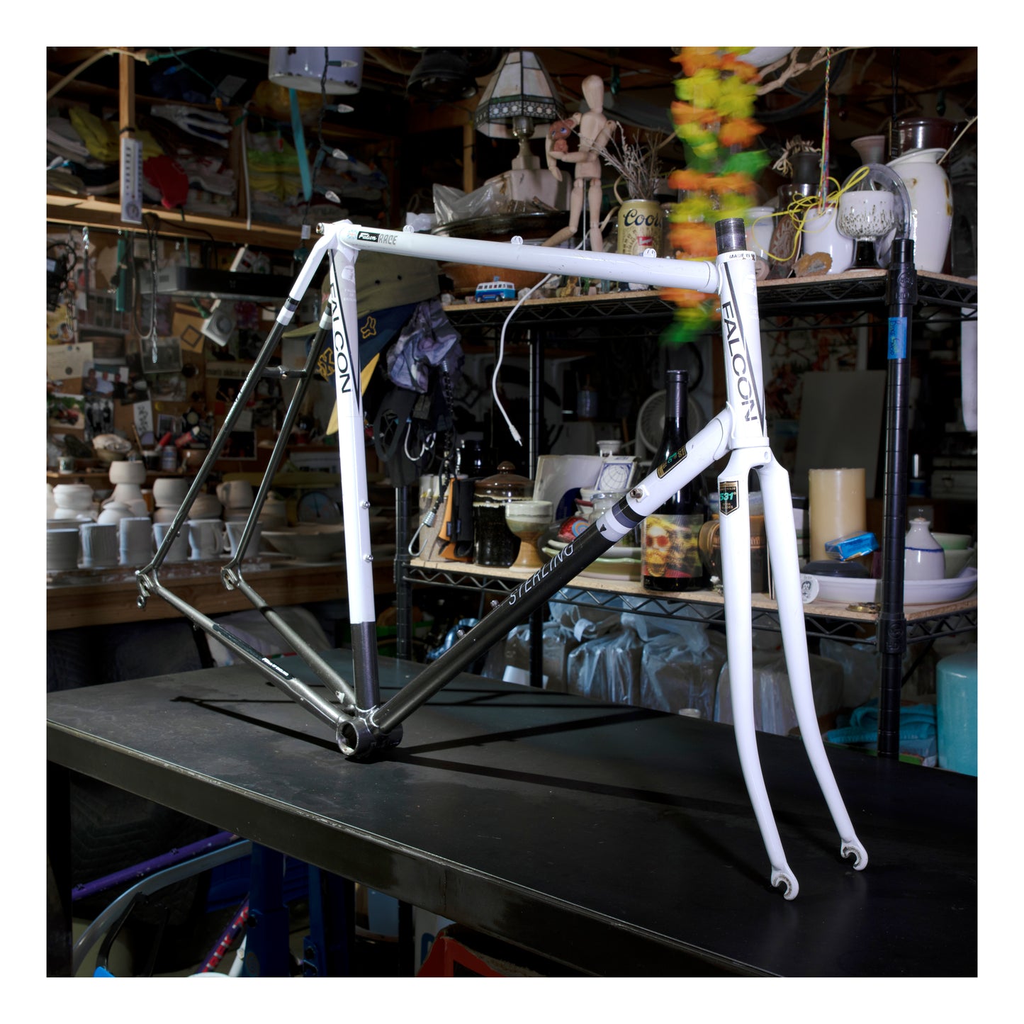 Sterling Falcon Race